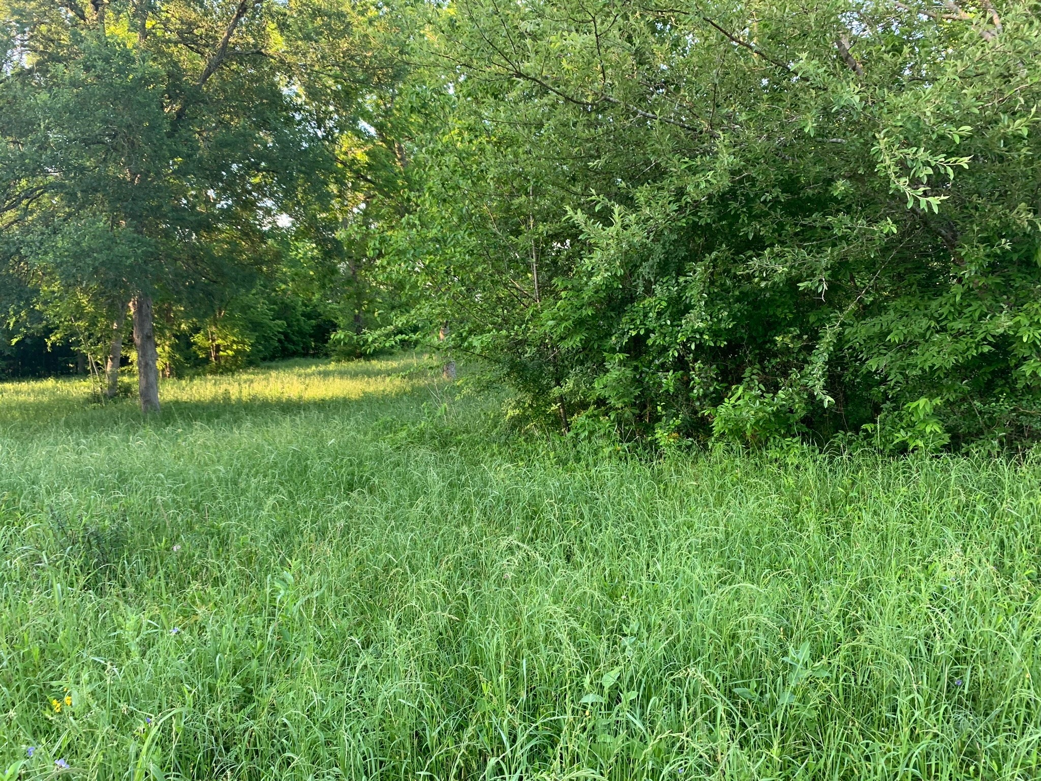 501 Fm 1227 Property Photo 9