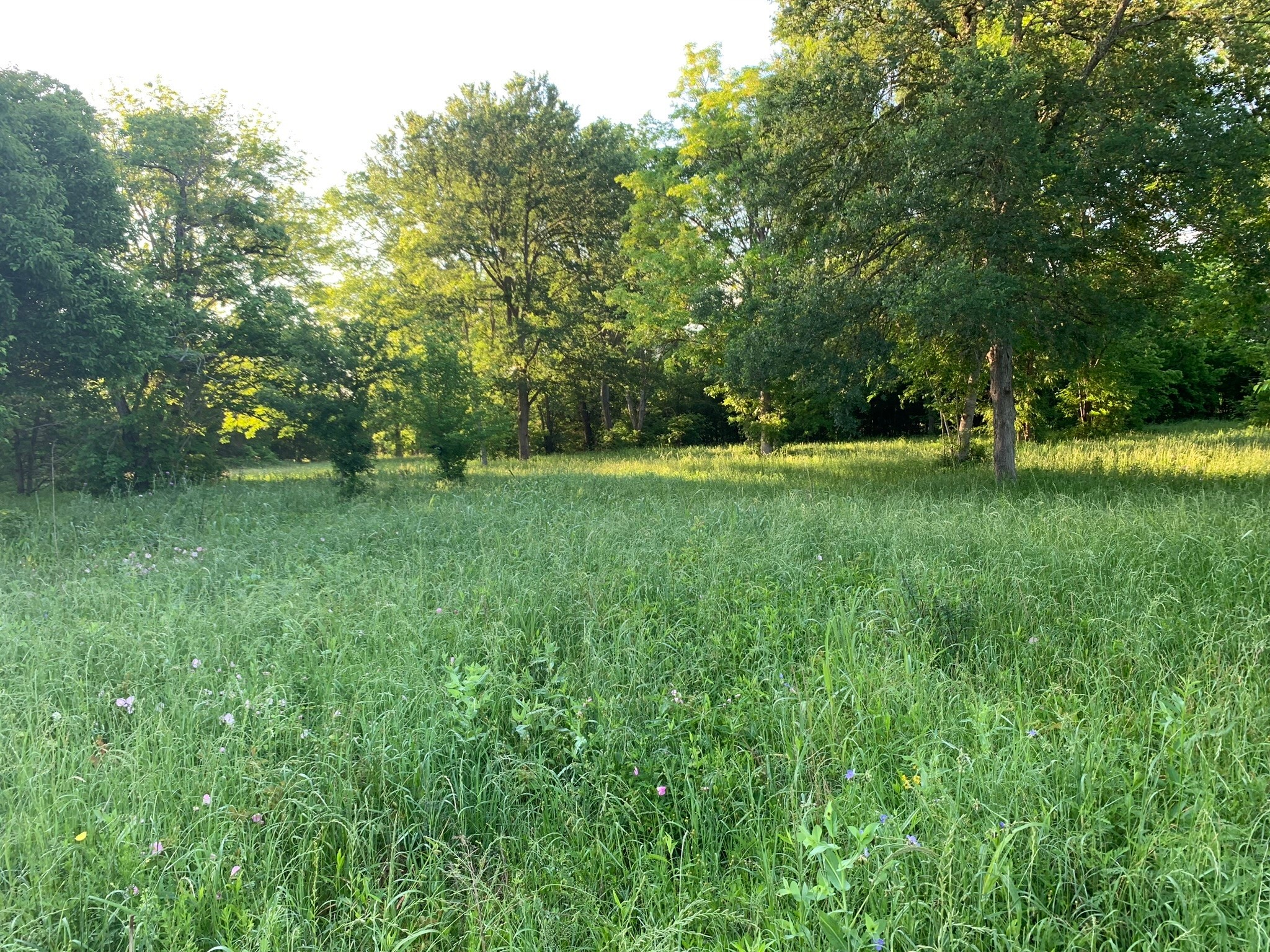 501 Fm 1227 Property Photo 10