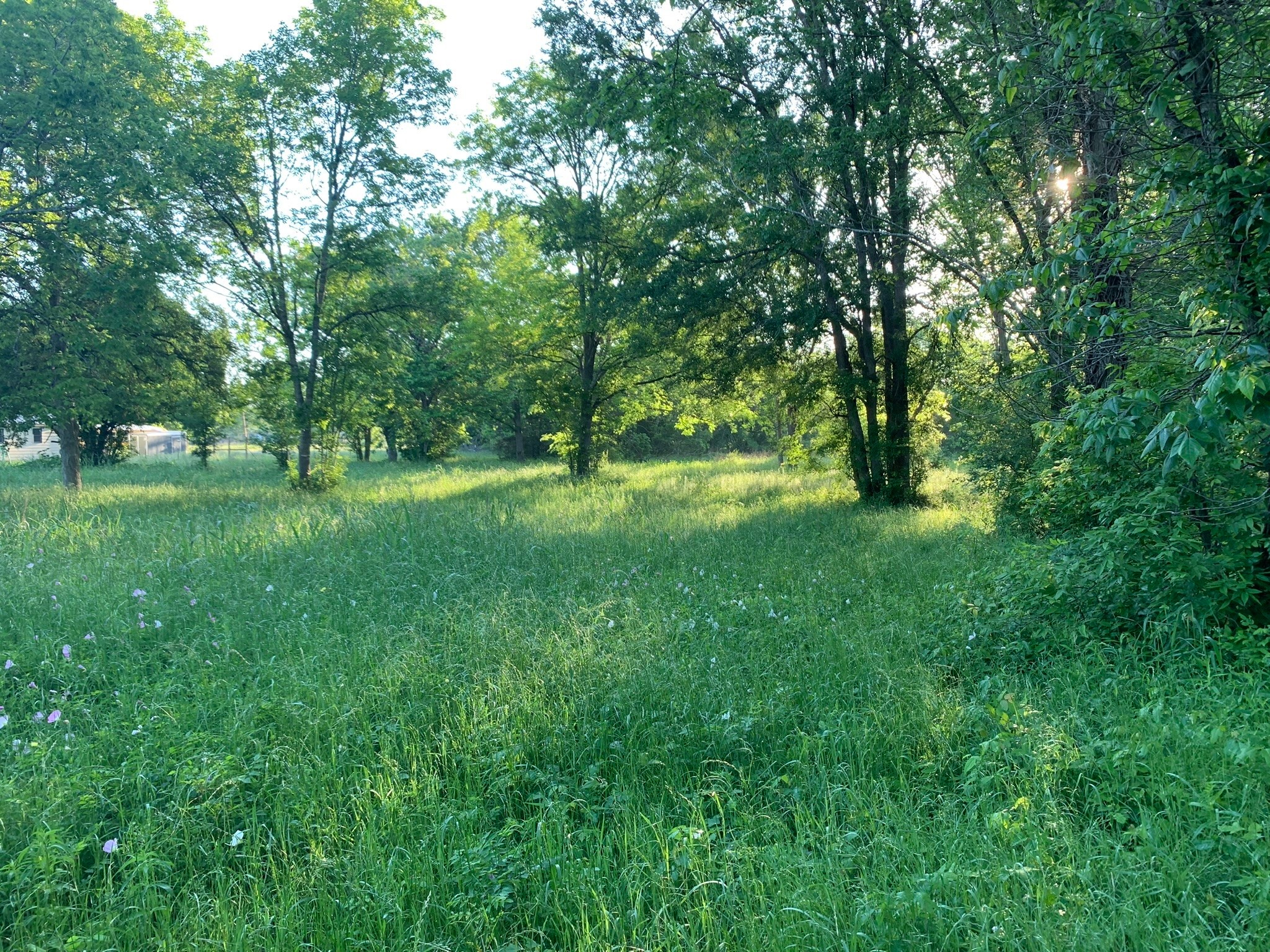 501 Fm 1227 Property Photo 11