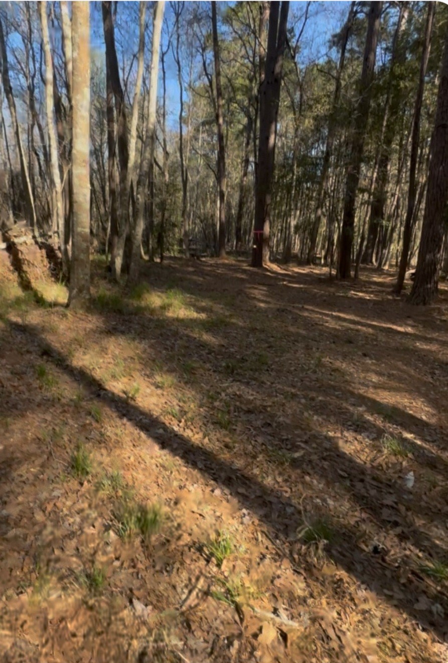 0 Musgrove Muscat Property Photo 7
