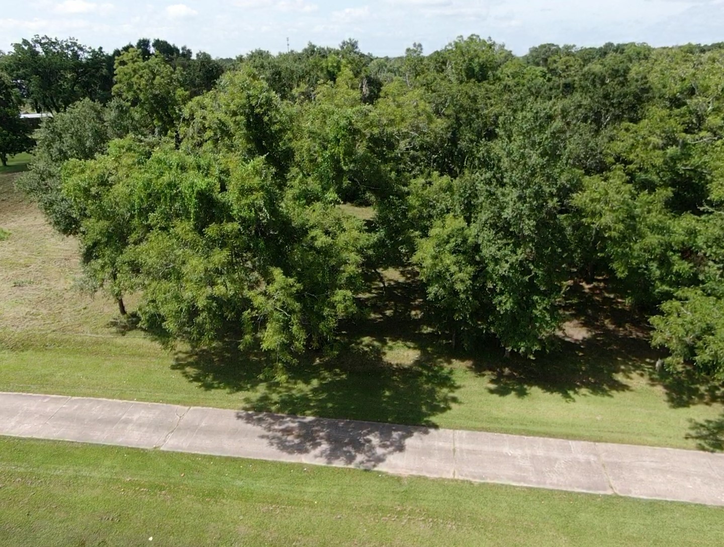 130 Sally Lake Court Property Photo 12