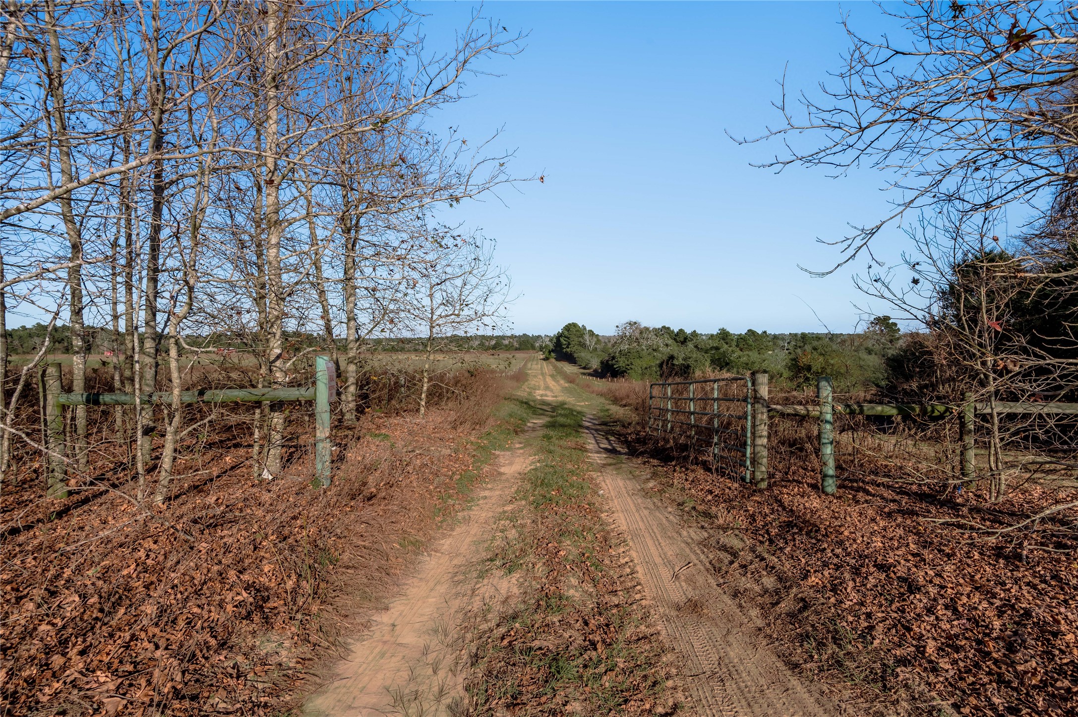 Tbd County Road 204 Property Photo 1