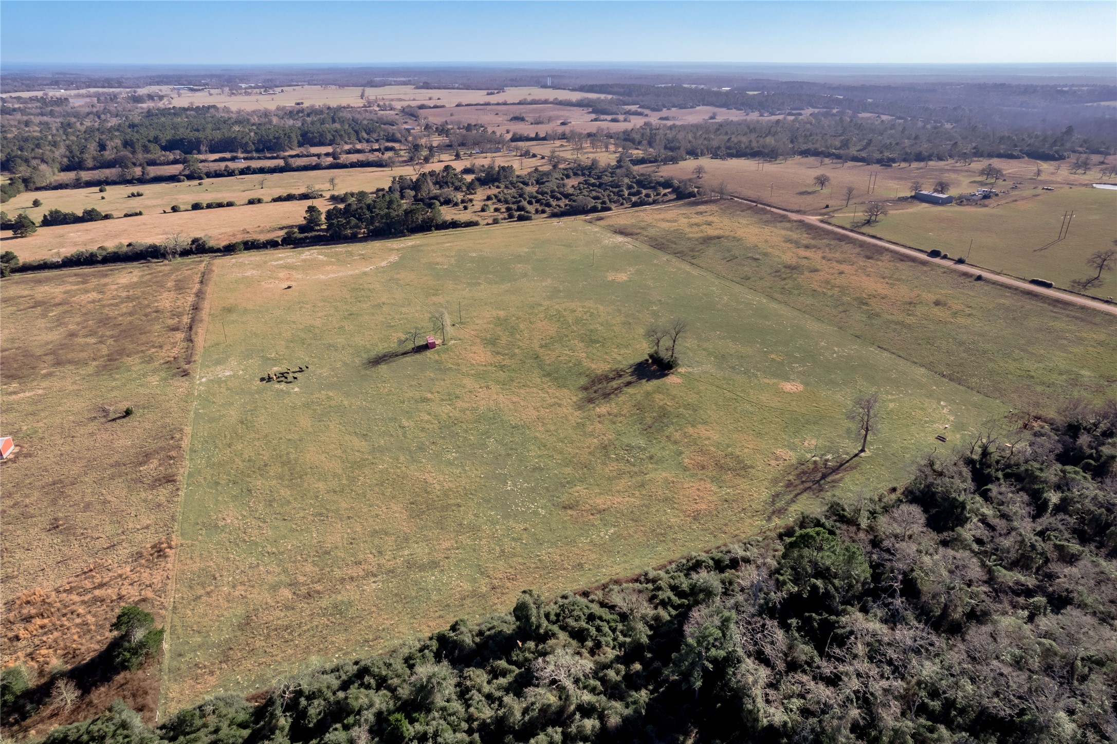 Tbd County Road 204 Property Photo 3