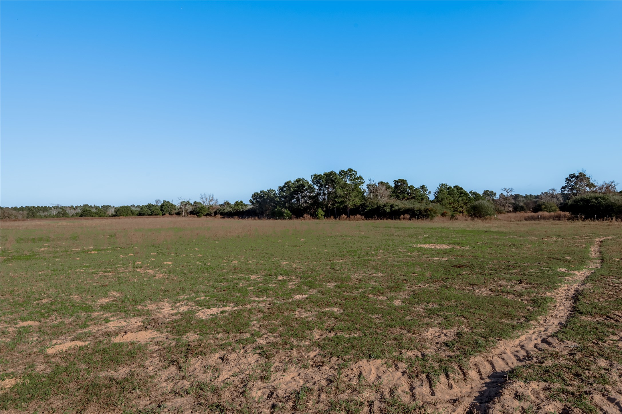 Tbd County Road 204 Property Photo 4