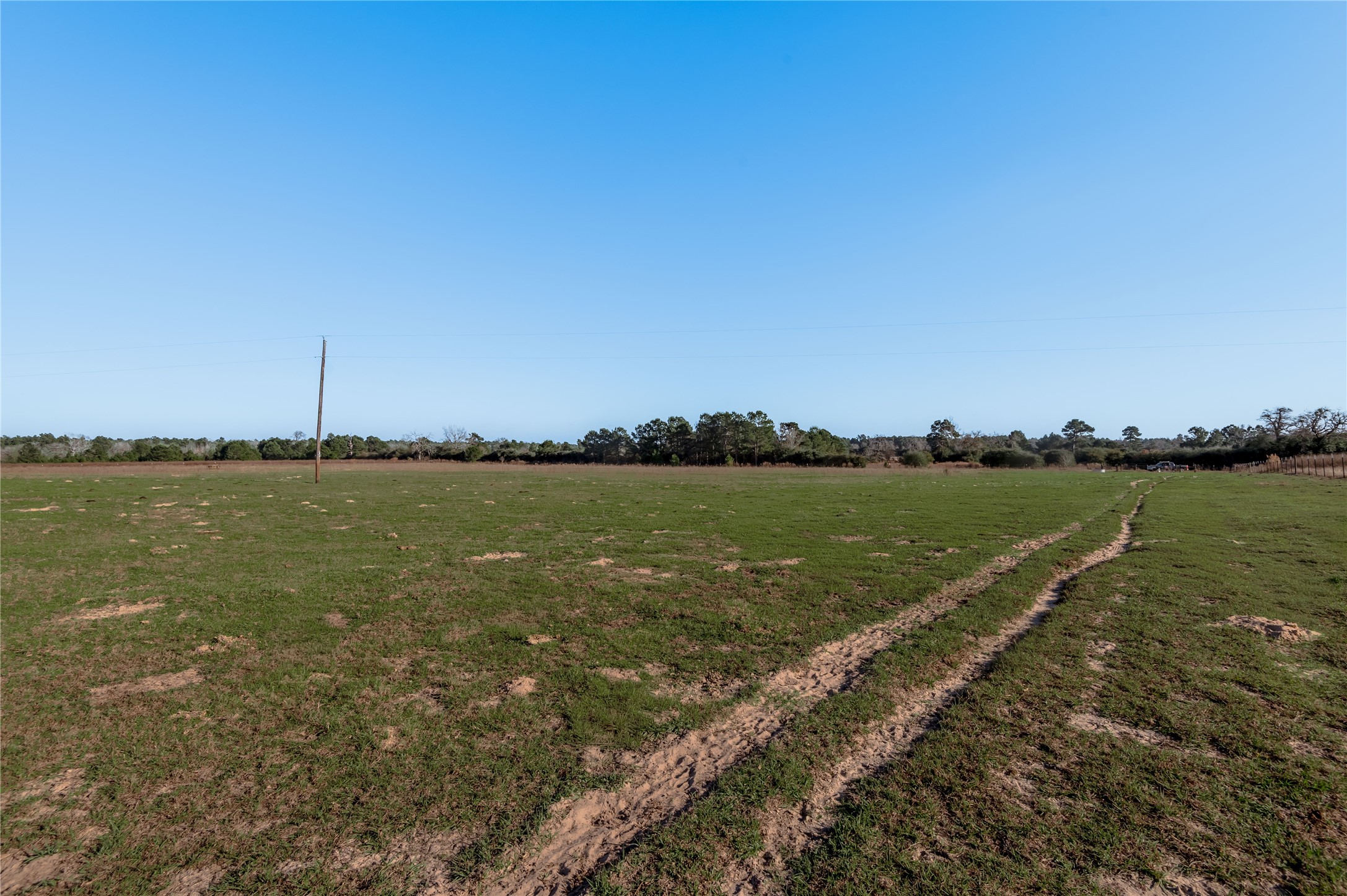 Tbd County Road 204 Property Photo 5