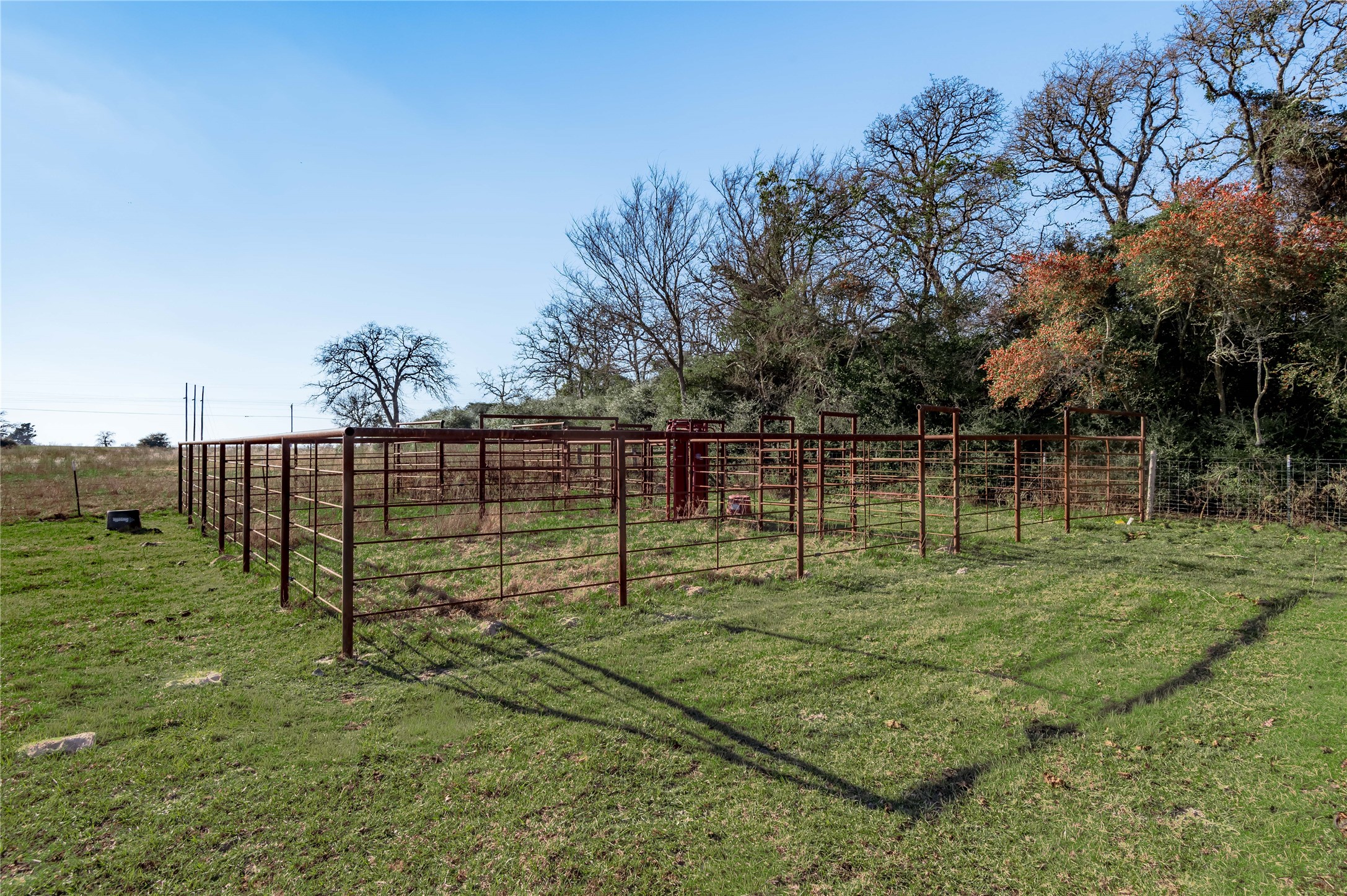 Tbd County Road 204 Property Photo 7