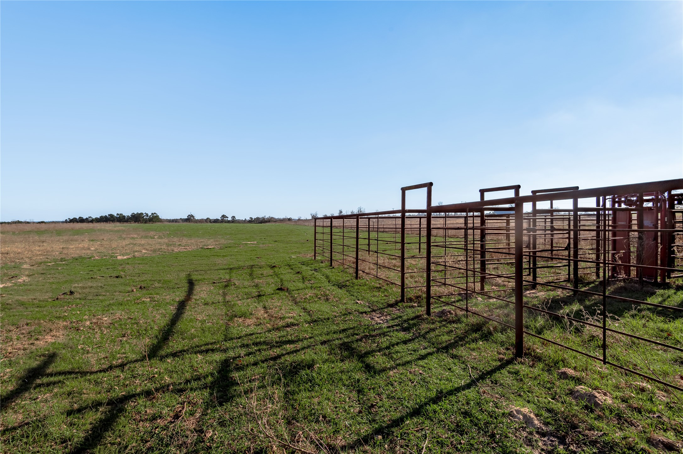 Tbd County Road 204 Property Photo 9
