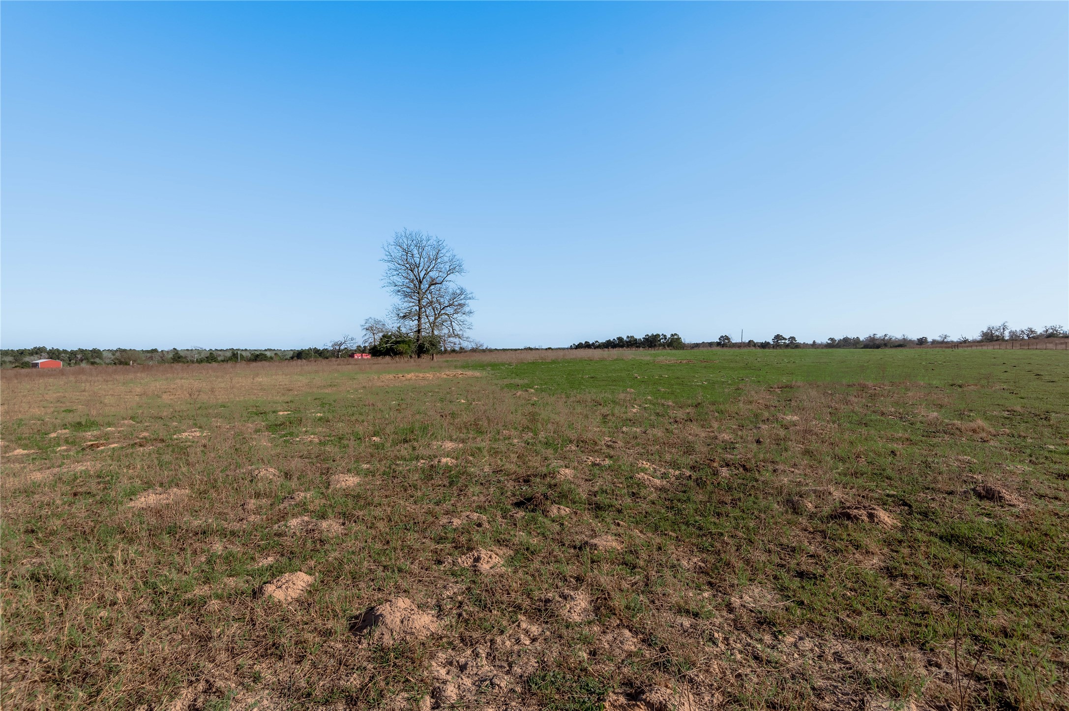 Tbd County Road 204 Property Photo 10
