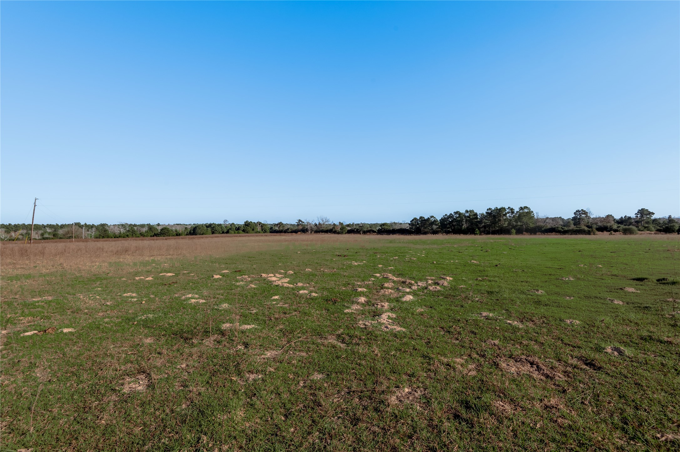 Tbd County Road 204 Property Photo 11