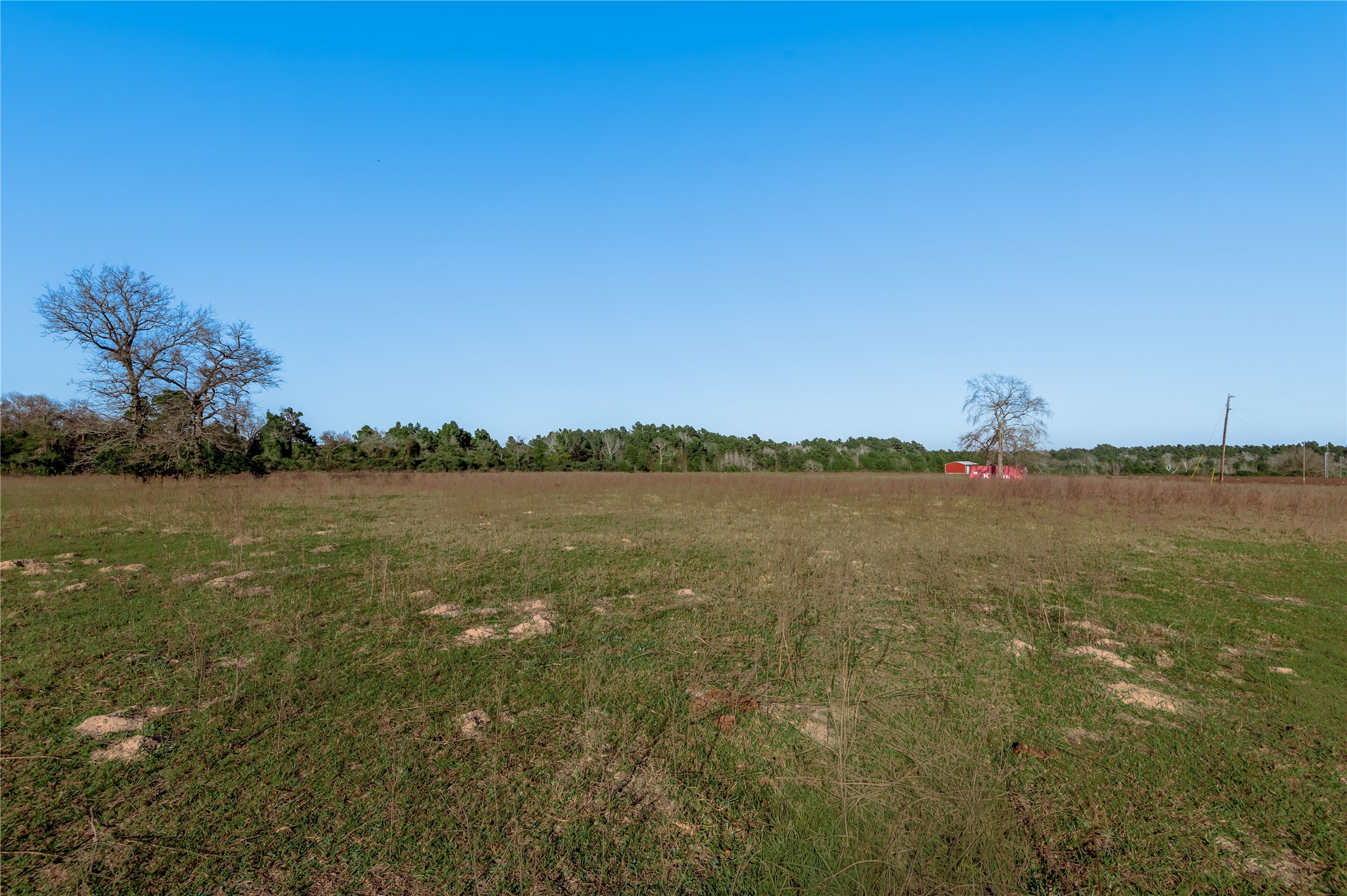 Tbd County Road 204 Property Photo 12