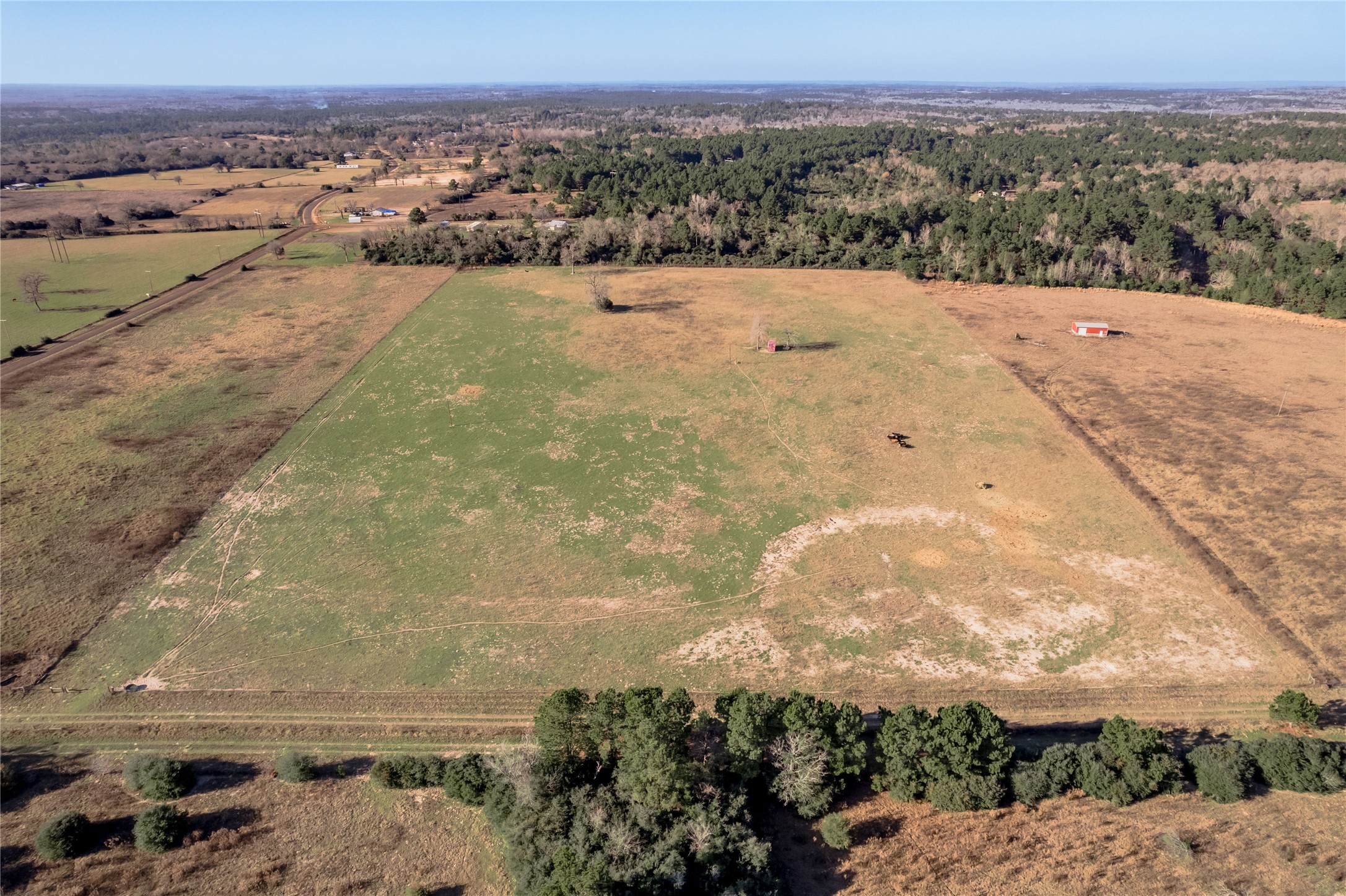 Tbd County Road 204 Property Photo 13