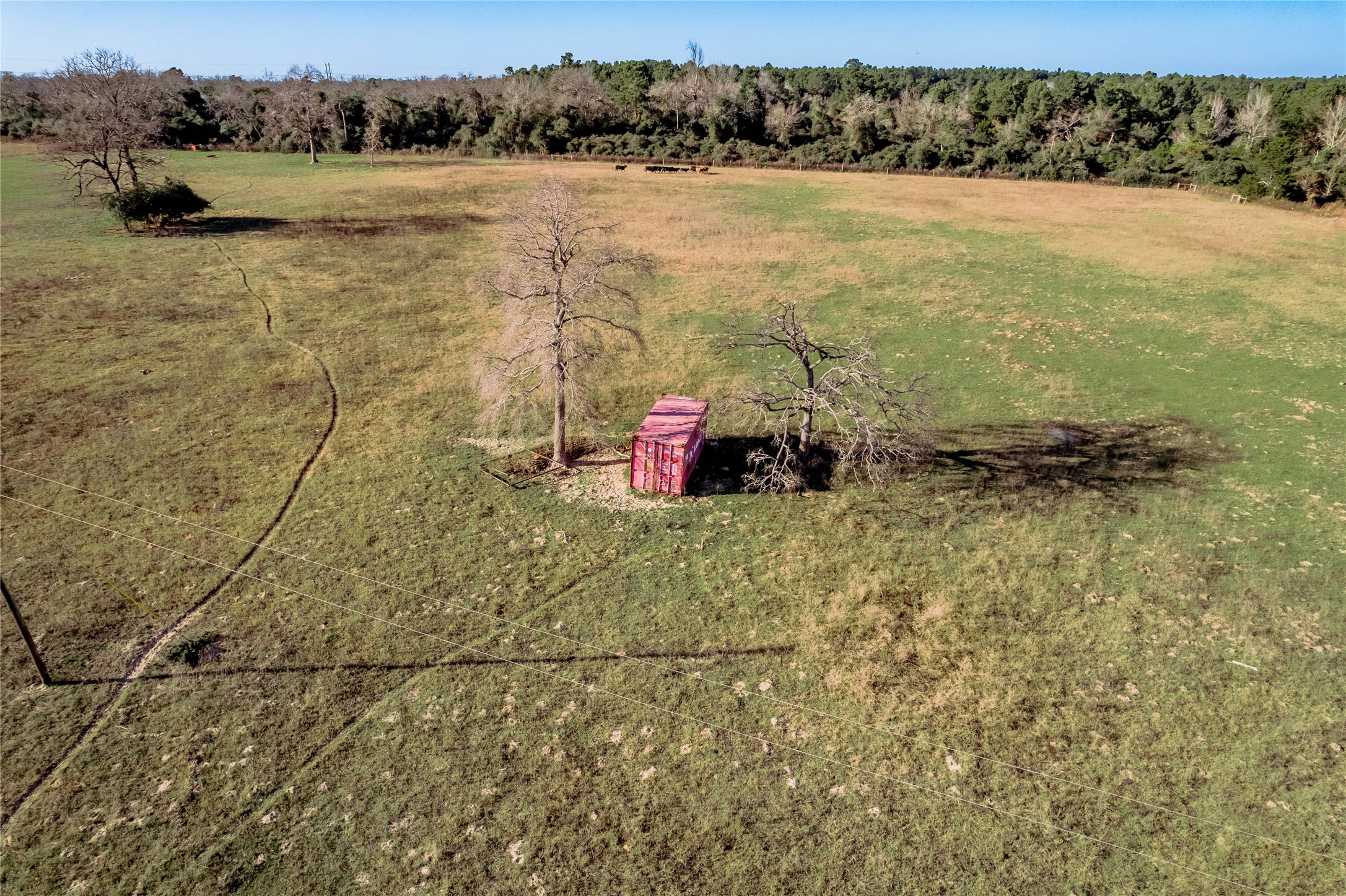 Tbd County Road 204 Property Photo 15