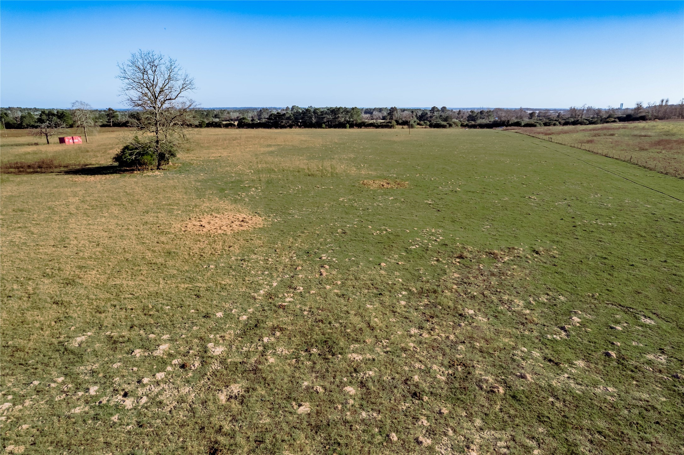 Tbd County Road 204 Property Photo 16