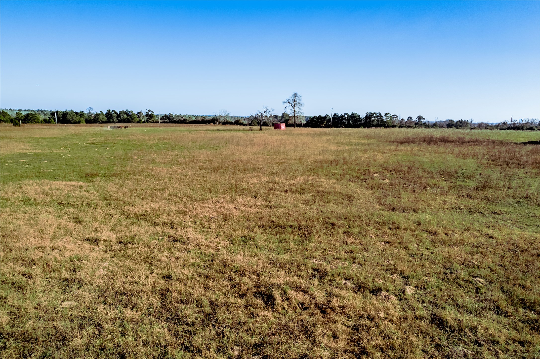Tbd County Road 204 Property Photo 17