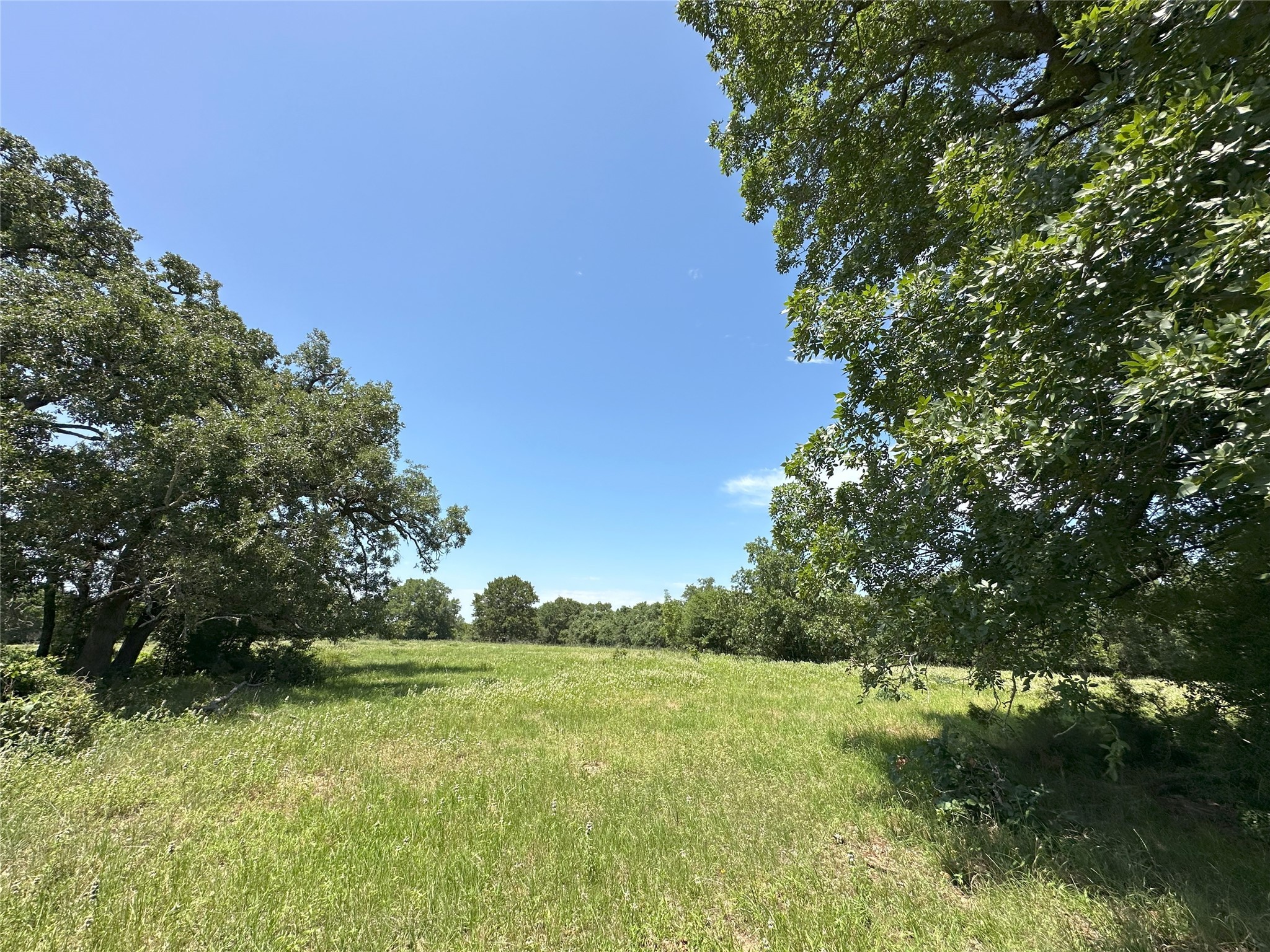 8110 N Hwy 77 Property Photo 1