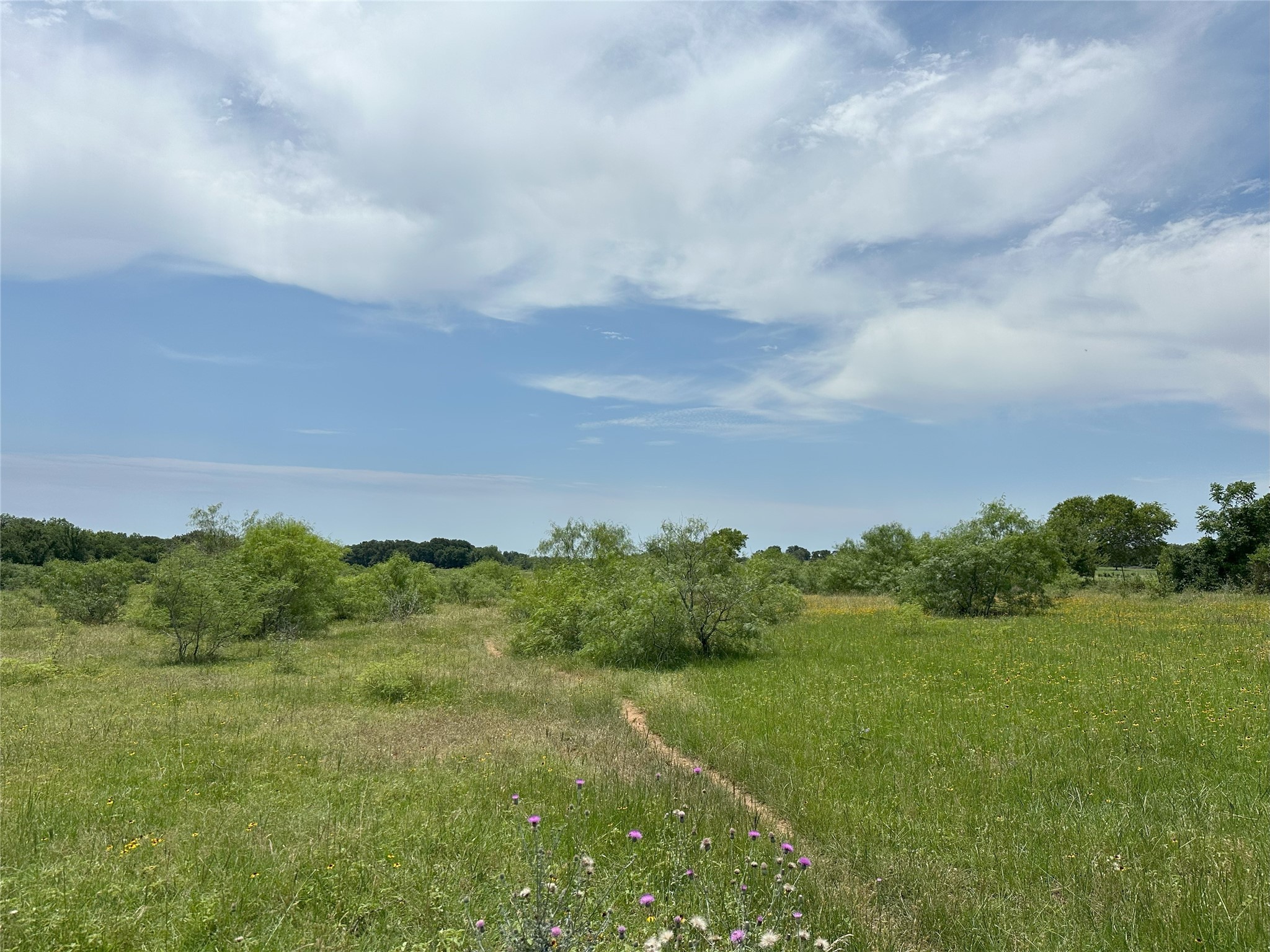 8110 N Hwy 77 Property Photo 4