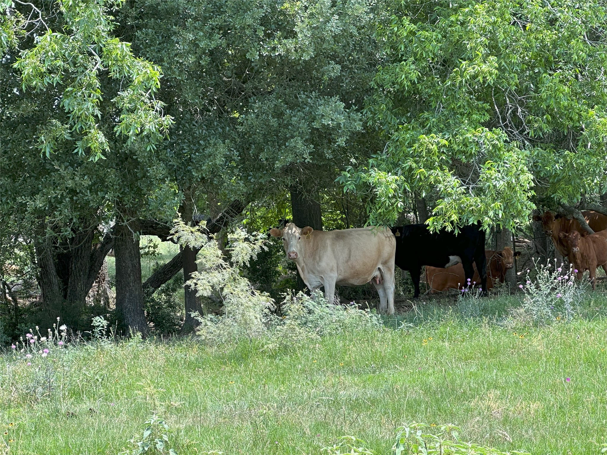 8110 N Hwy 77 Property Photo 6