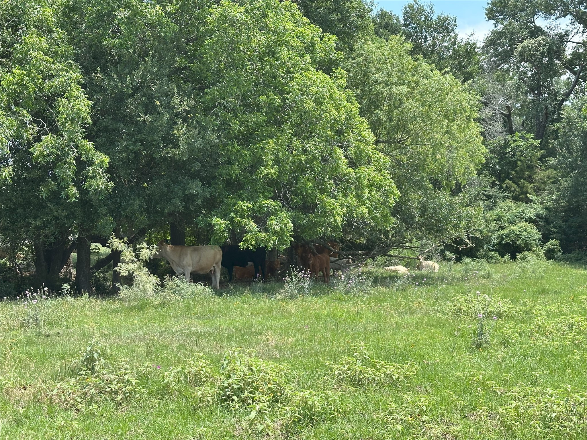 8110 N Hwy 77 Property Photo 7