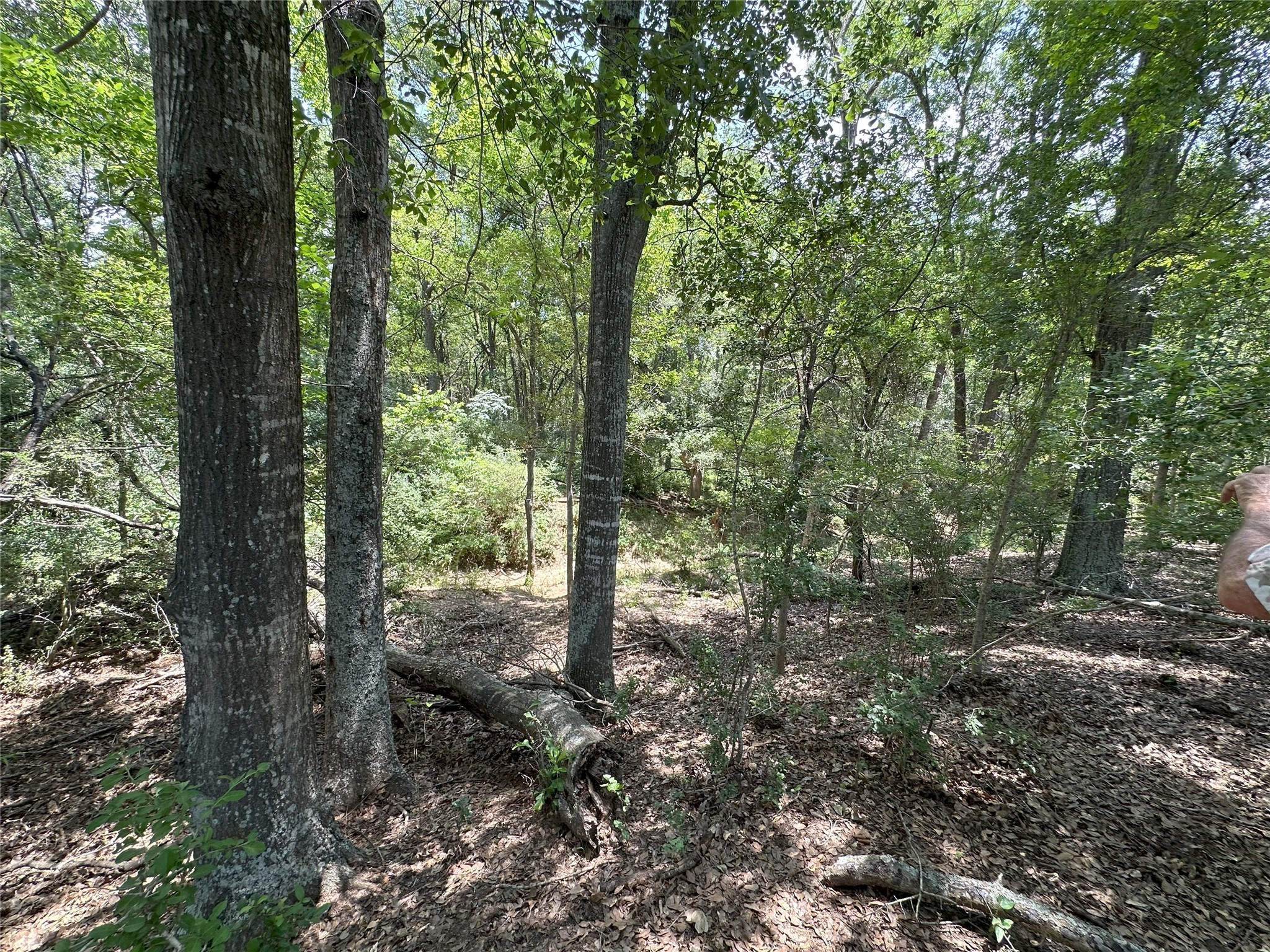 8110 N Hwy 77 Property Photo 8