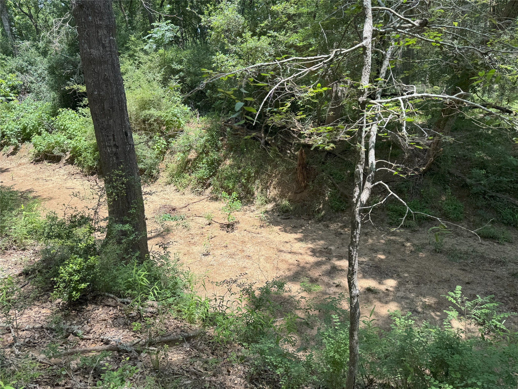 8110 N Hwy 77 Property Photo 9