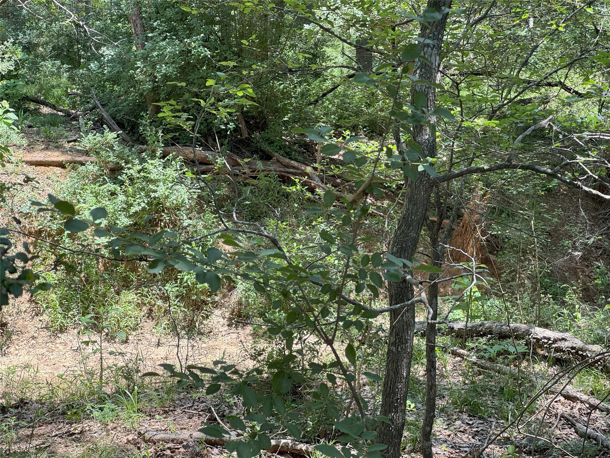 8110 N Hwy 77 Property Photo 10