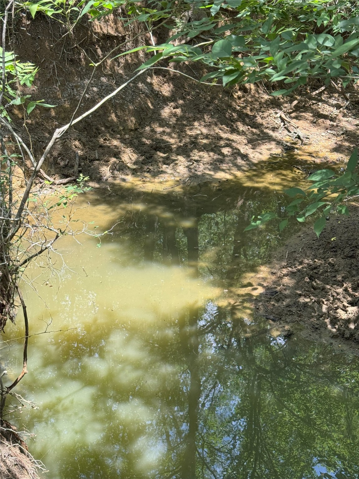 8110 N Hwy 77 Property Photo 11