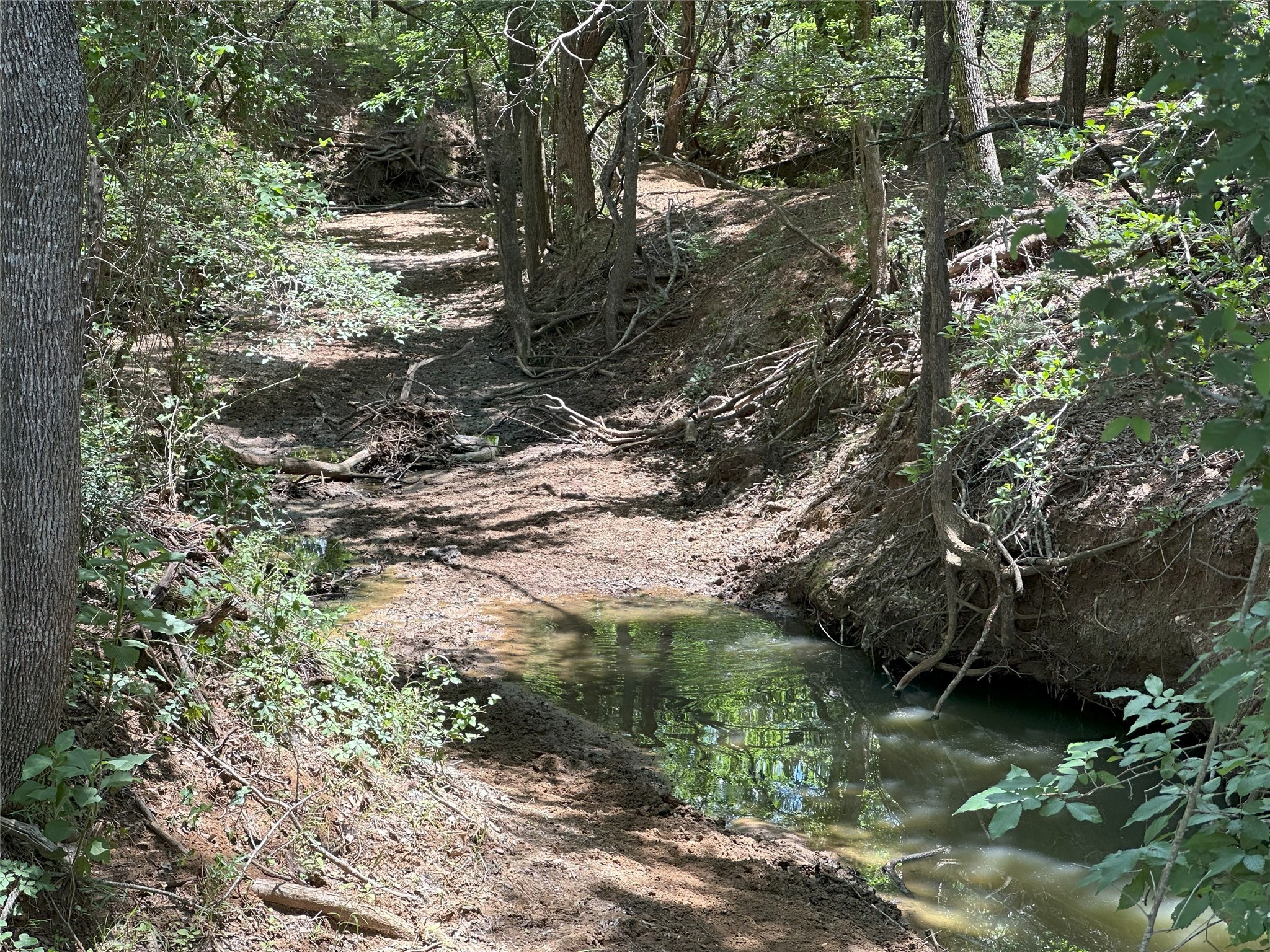 8110 N Hwy 77 Property Photo 12