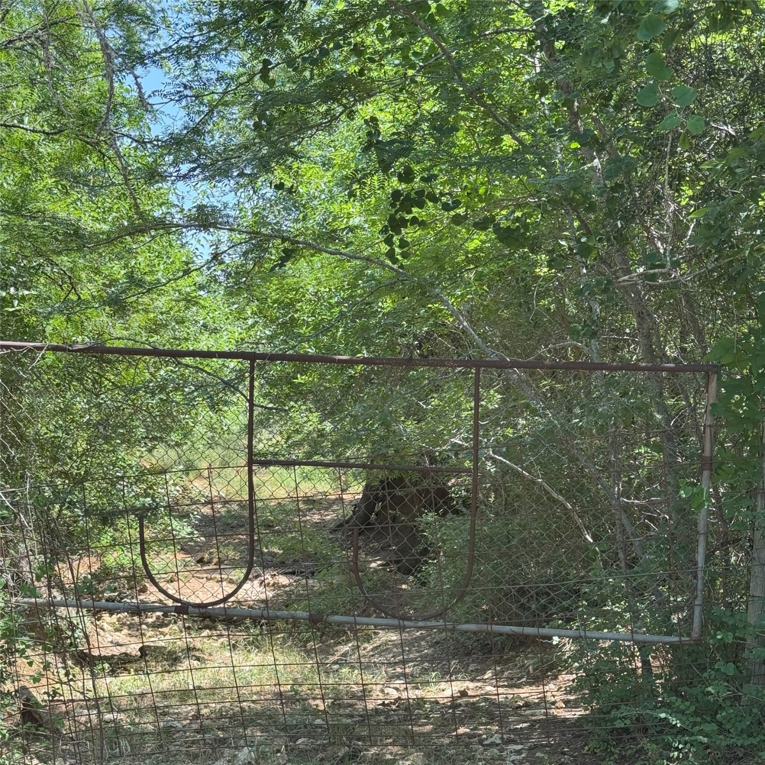 8110 N Hwy 77 Property Photo 14