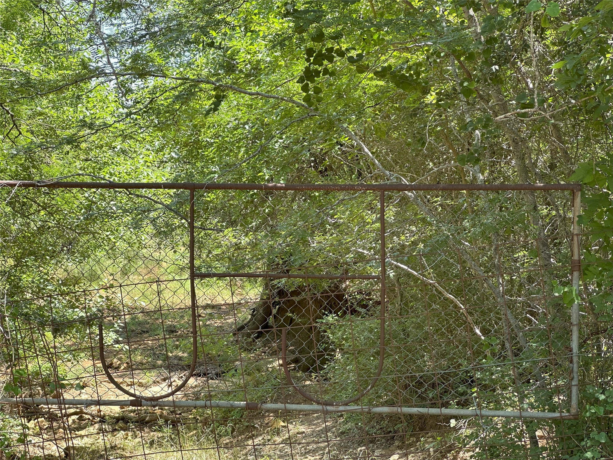 8110 N Hwy 77 Property Photo 16