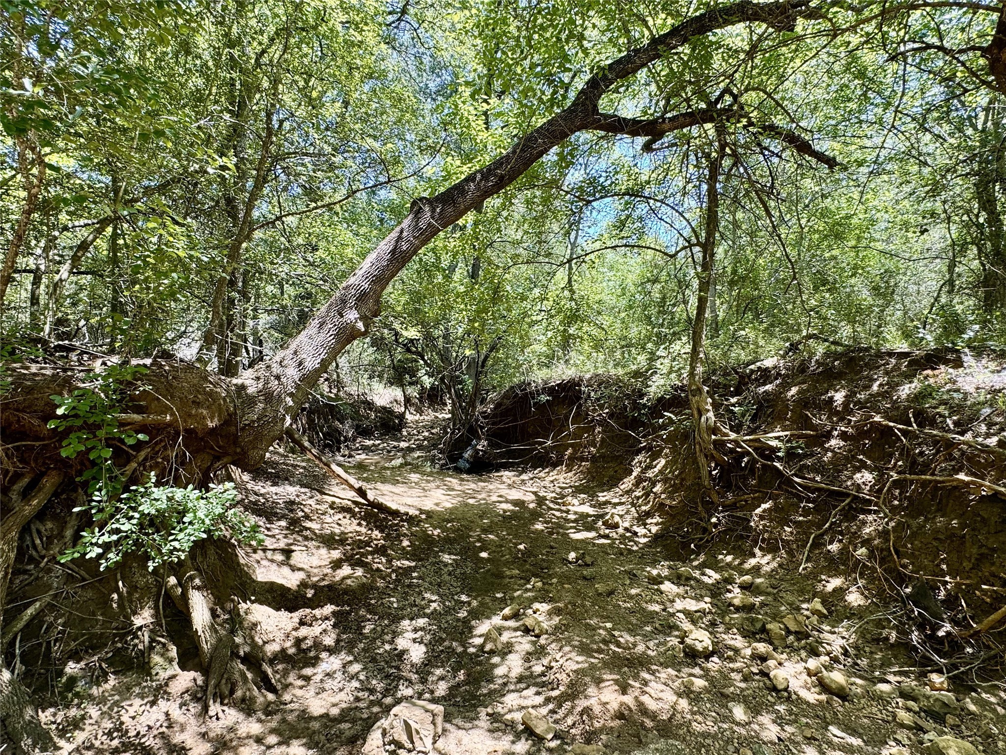 8110 N Hwy 77 Property Photo 21