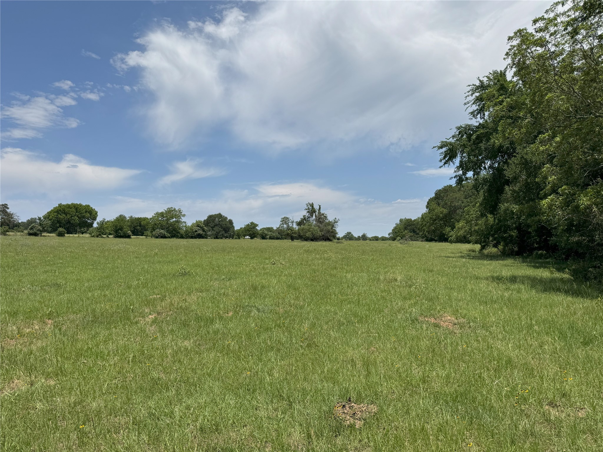 8110 N Hwy 77 Property Photo 22