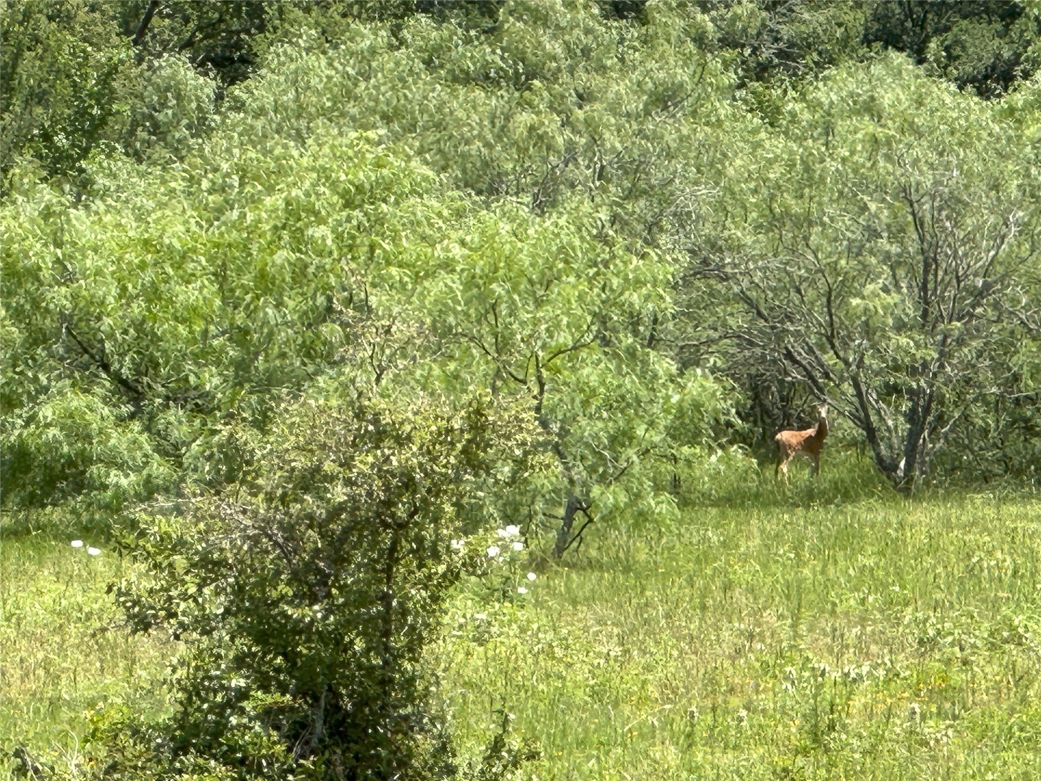 8110 N Hwy 77 Property Photo 24