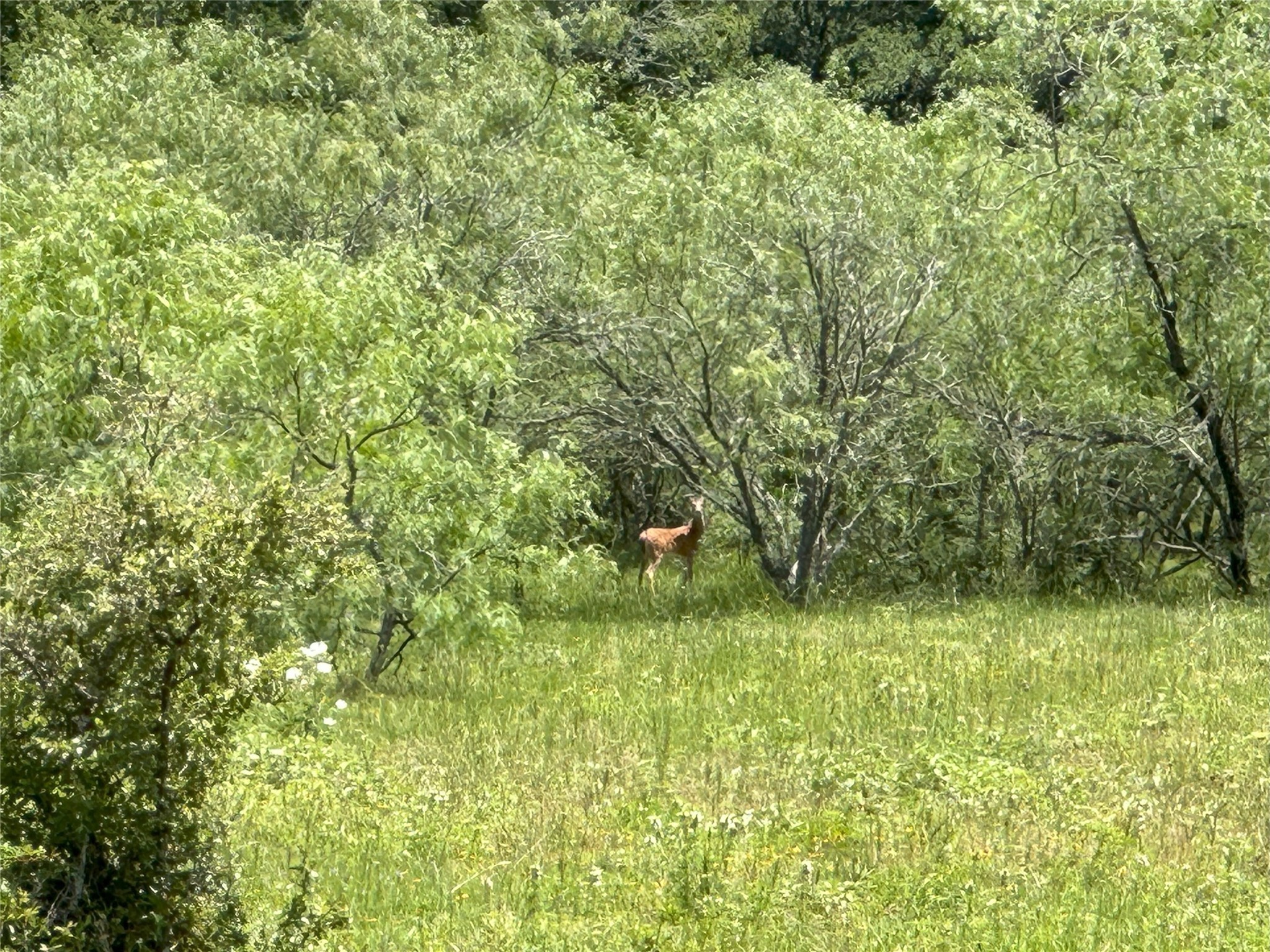 8110 N Hwy 77 Property Photo 25