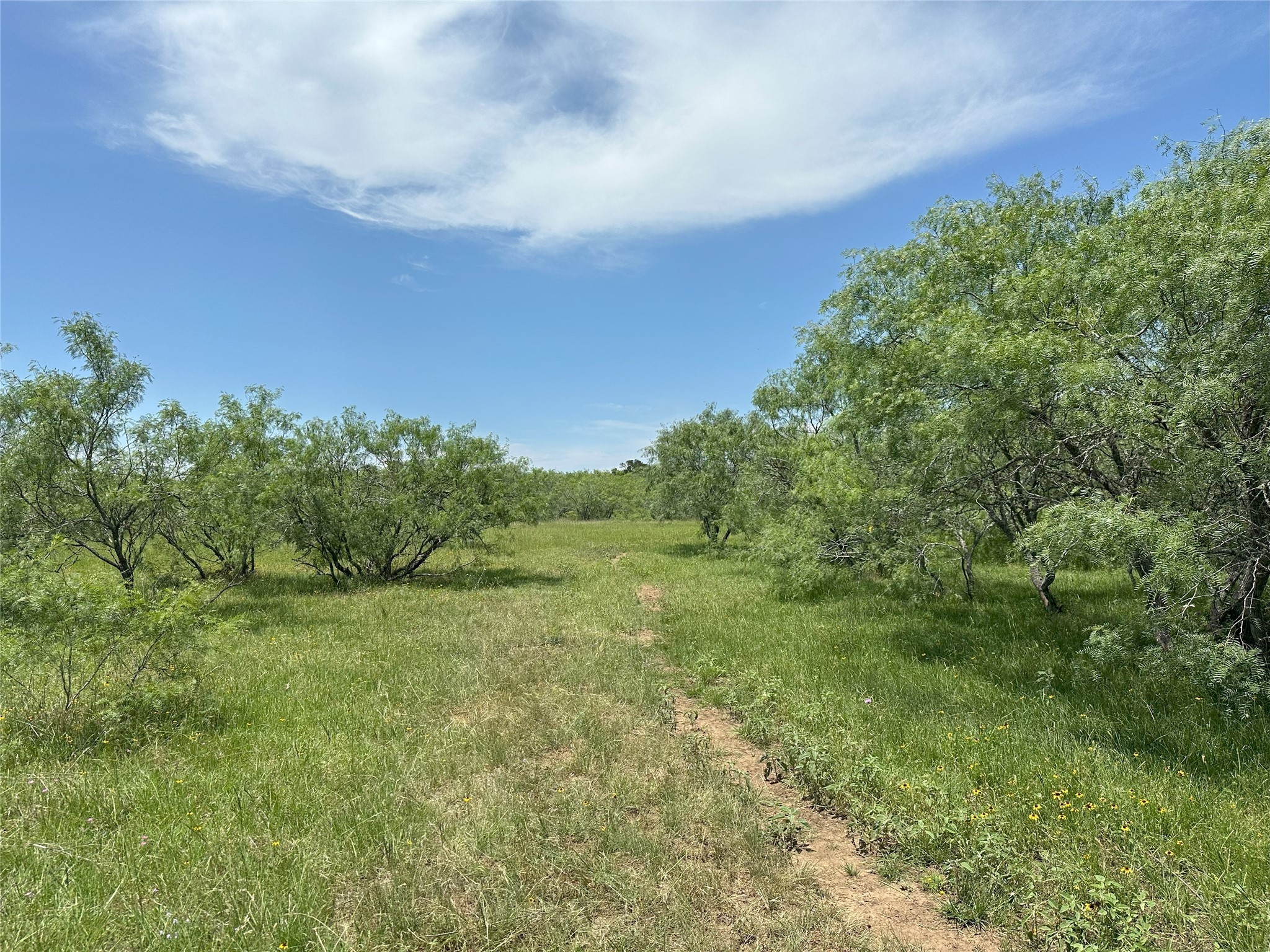 8110 N Hwy 77 Property Photo 26