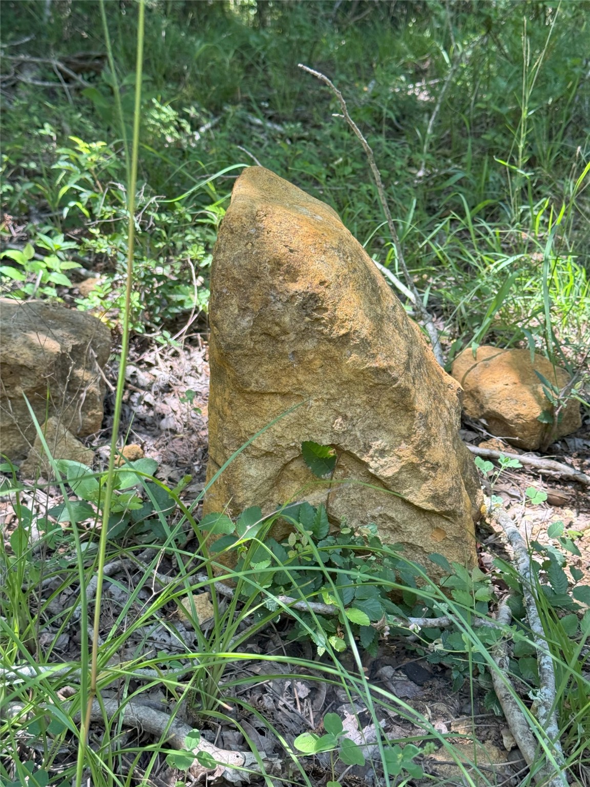 8110 N Hwy 77 Property Photo 29