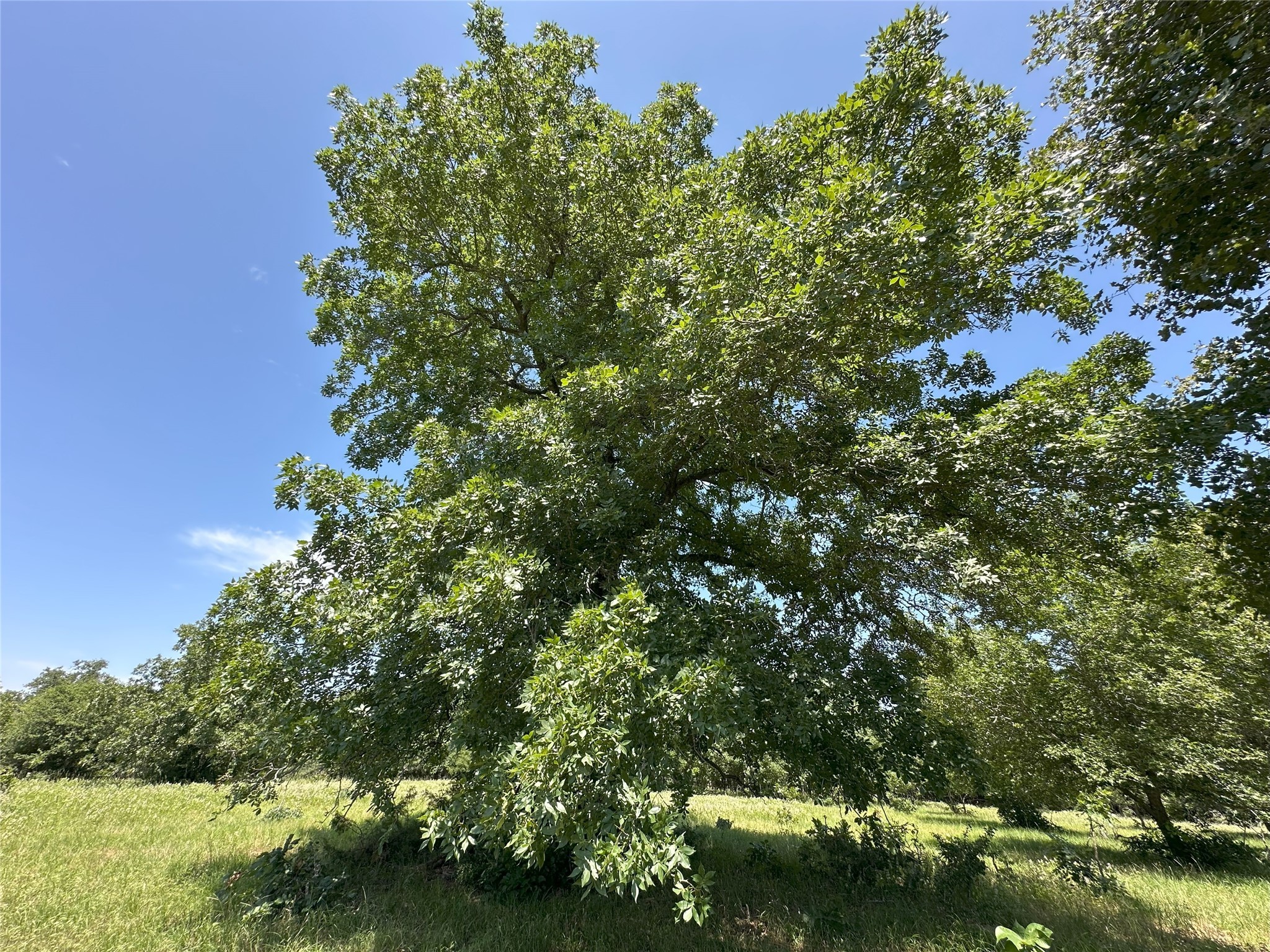 8110 N Hwy 77 Property Photo 30