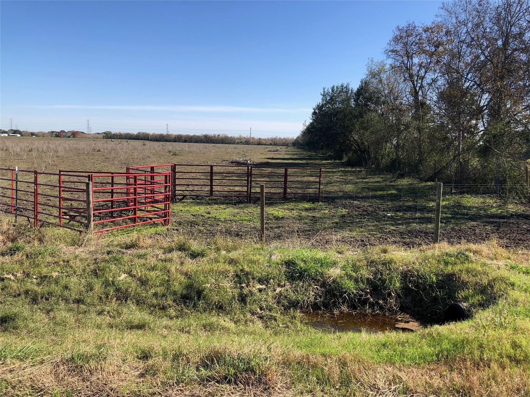 00 Dannhaus Road Property Photo 14