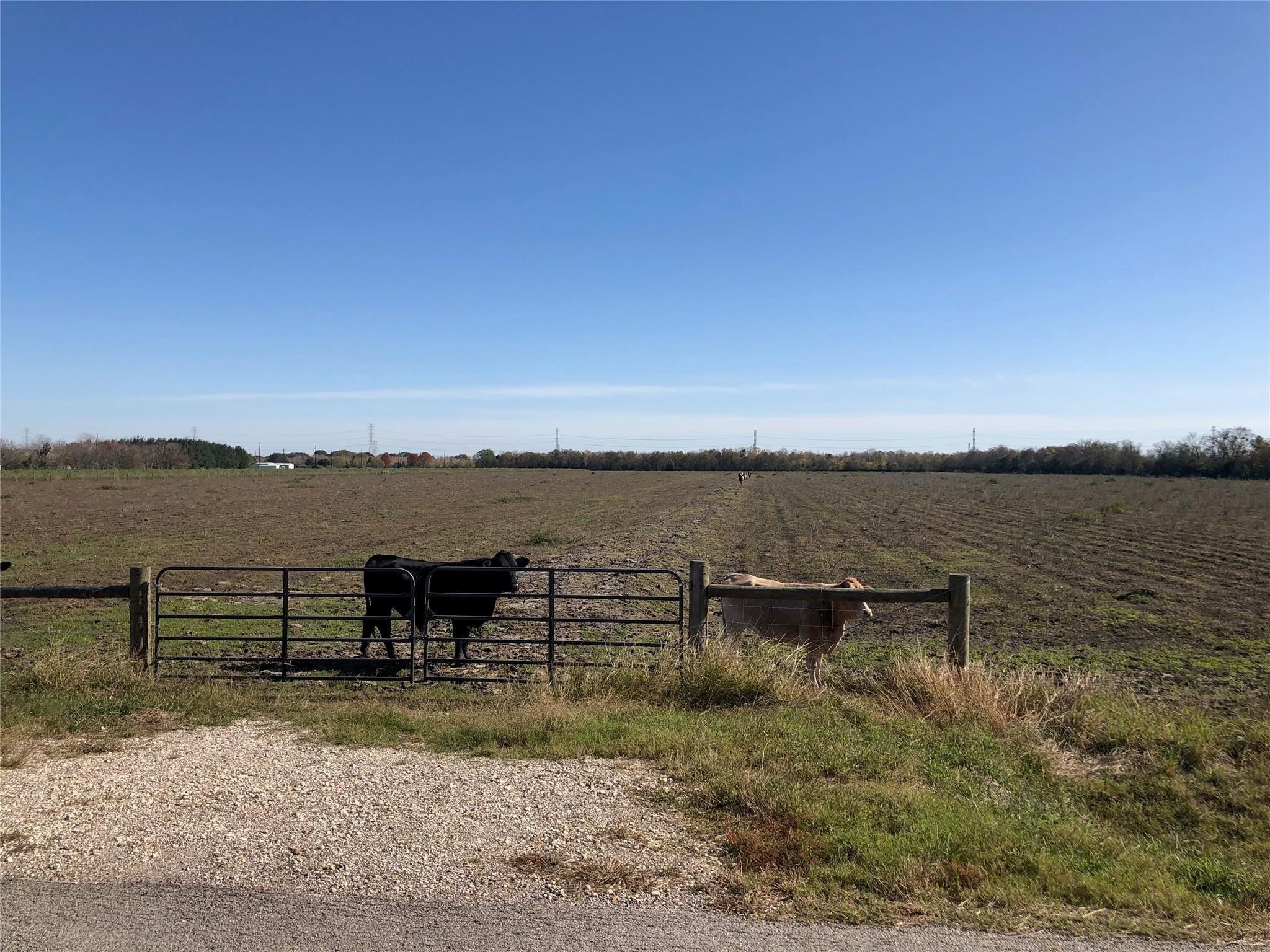 00 Dannhaus Road Property Photo 20