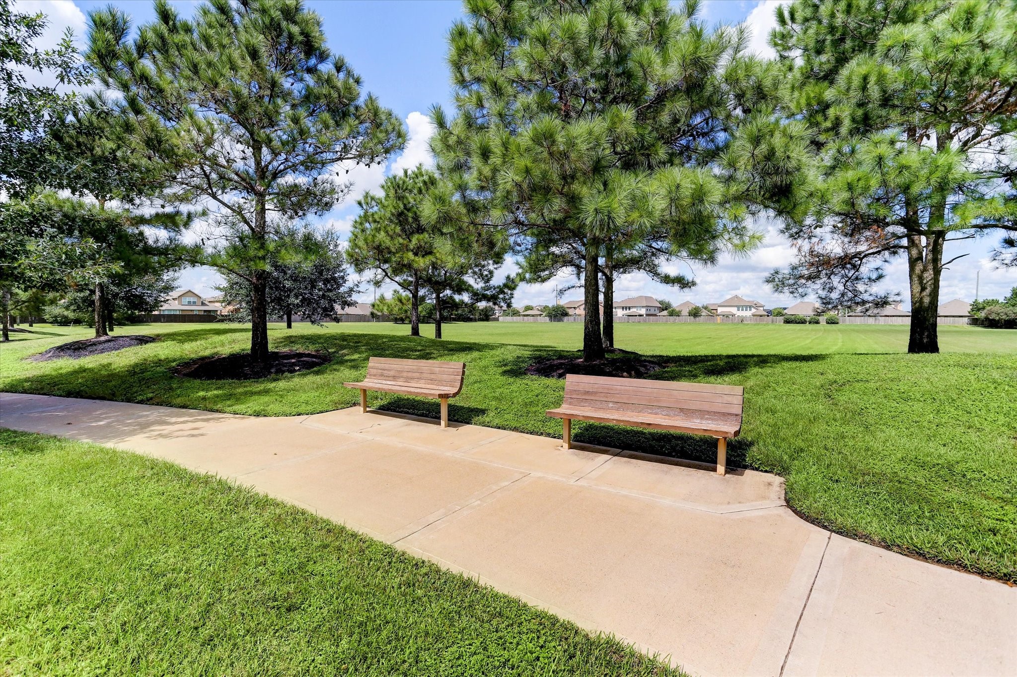 9961 Daisy Field Lane Property Photo 29