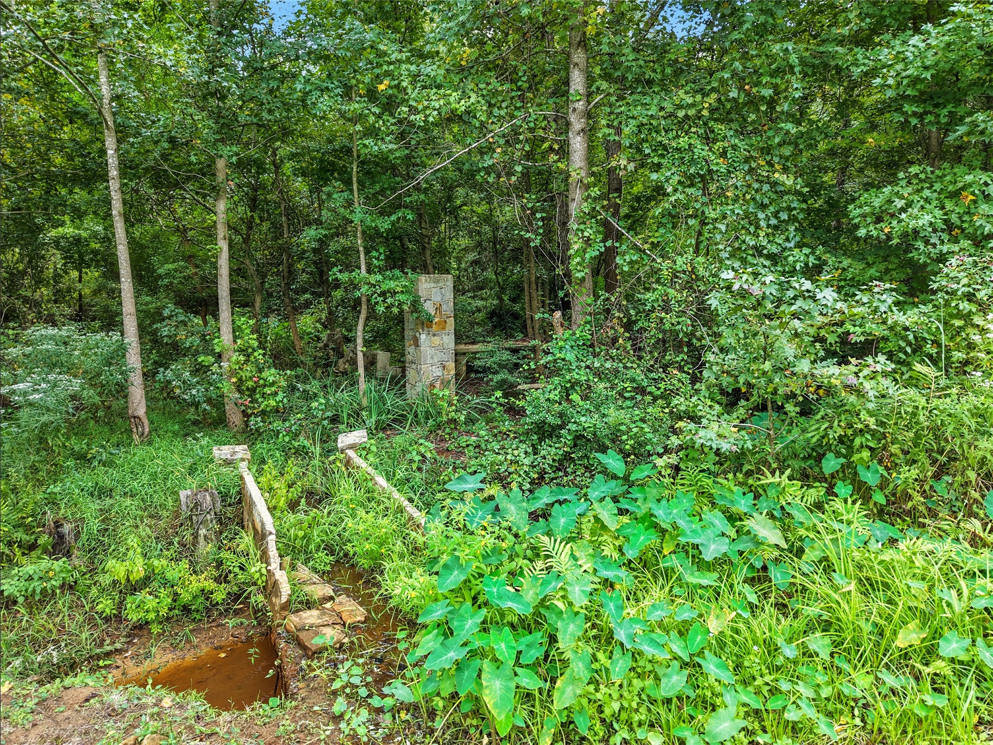 1803 Pine Hills Road Property Photo 46