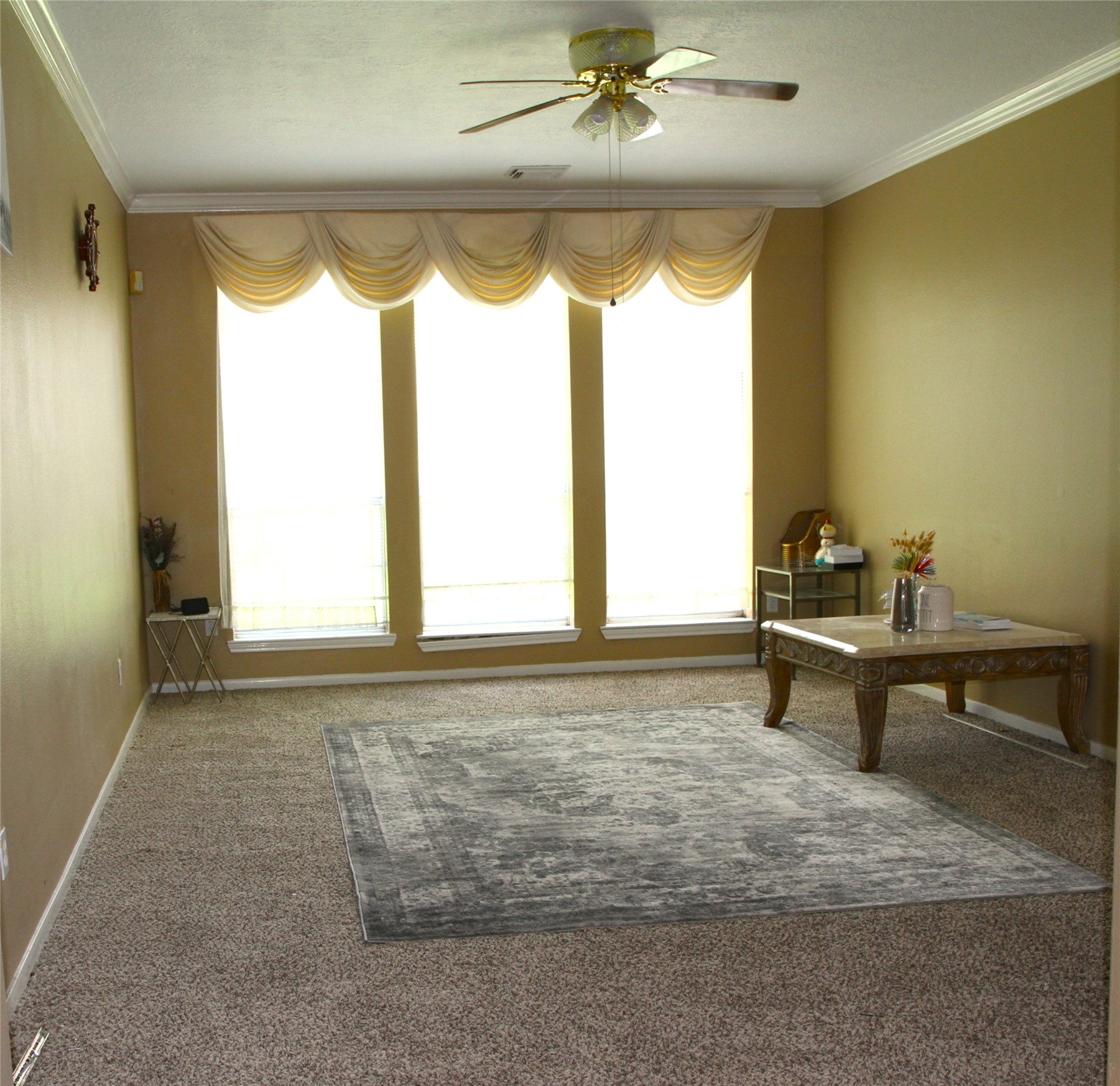 1235 Deer Ridge Drive Property Photo 5