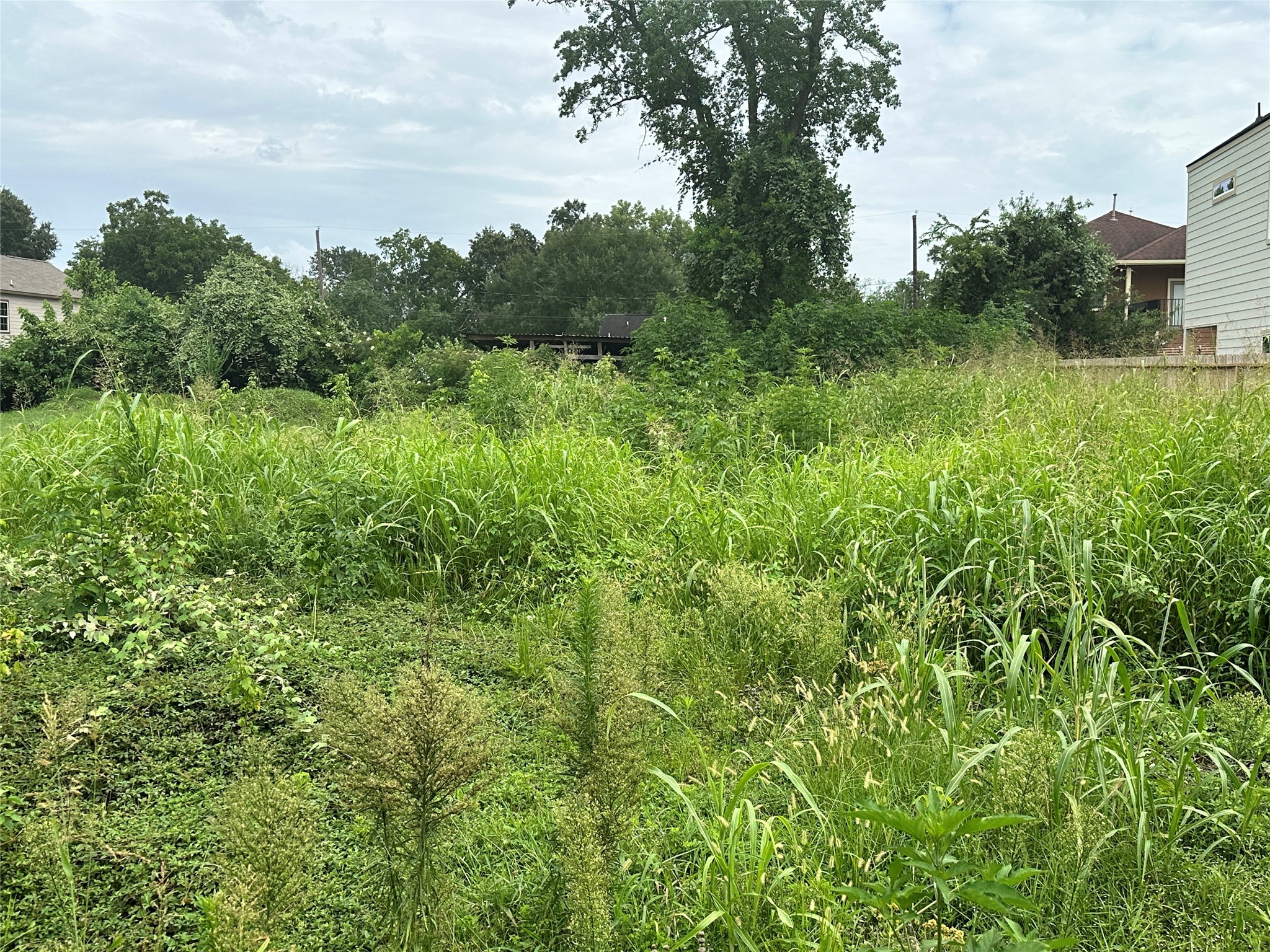 1061 South Lane Property Photo 2