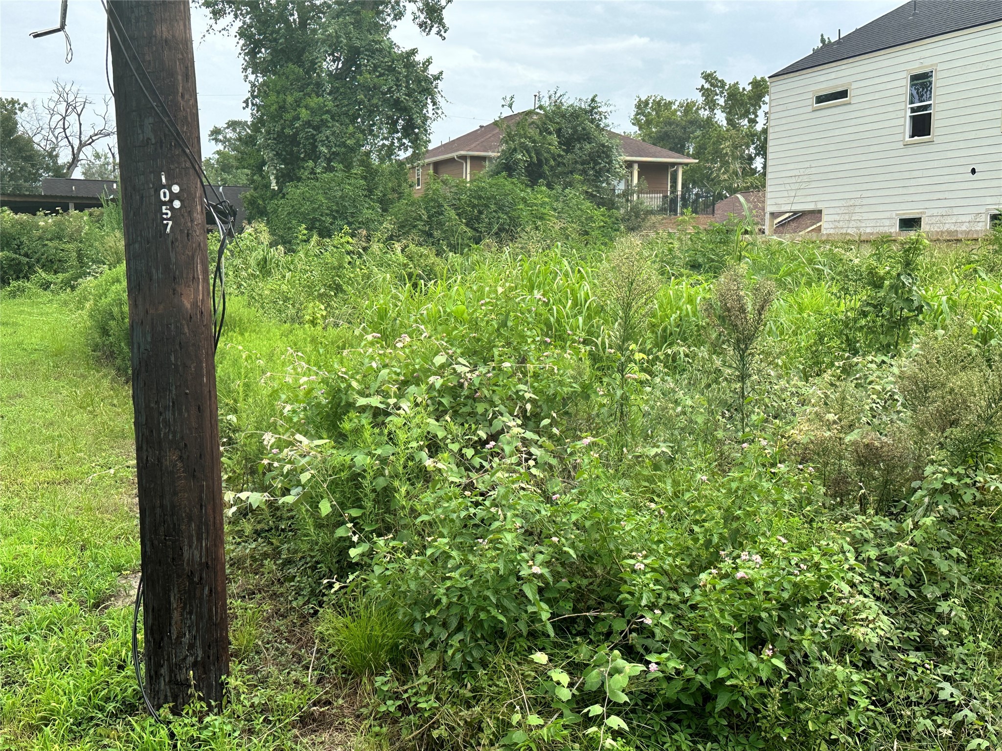 1061 South Lane Property Photo 3