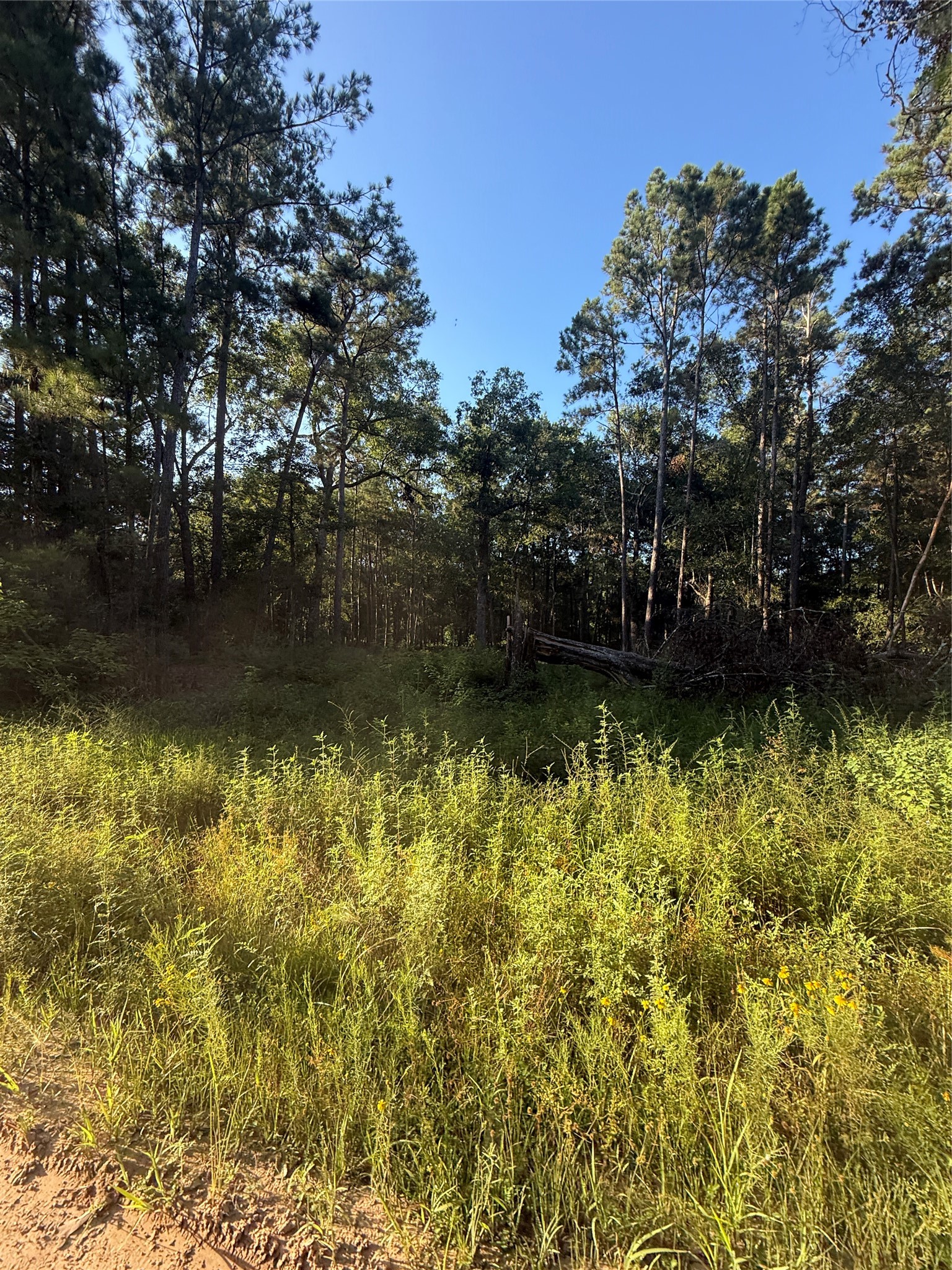 Tbd Charlie Pride Drive Property Photo 1