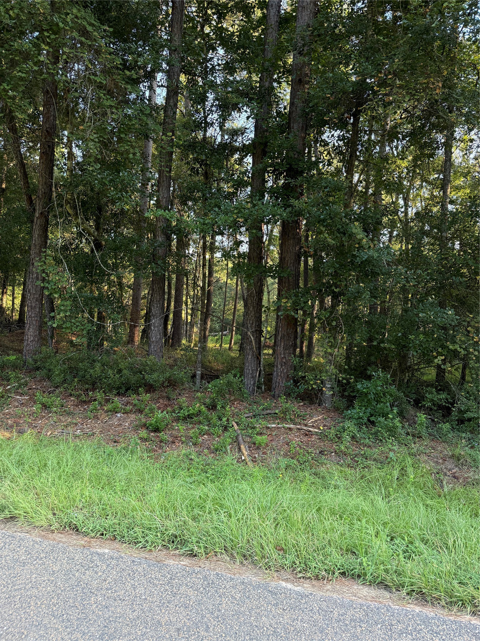 Tbd Charlie Pride Drive Property Photo 3