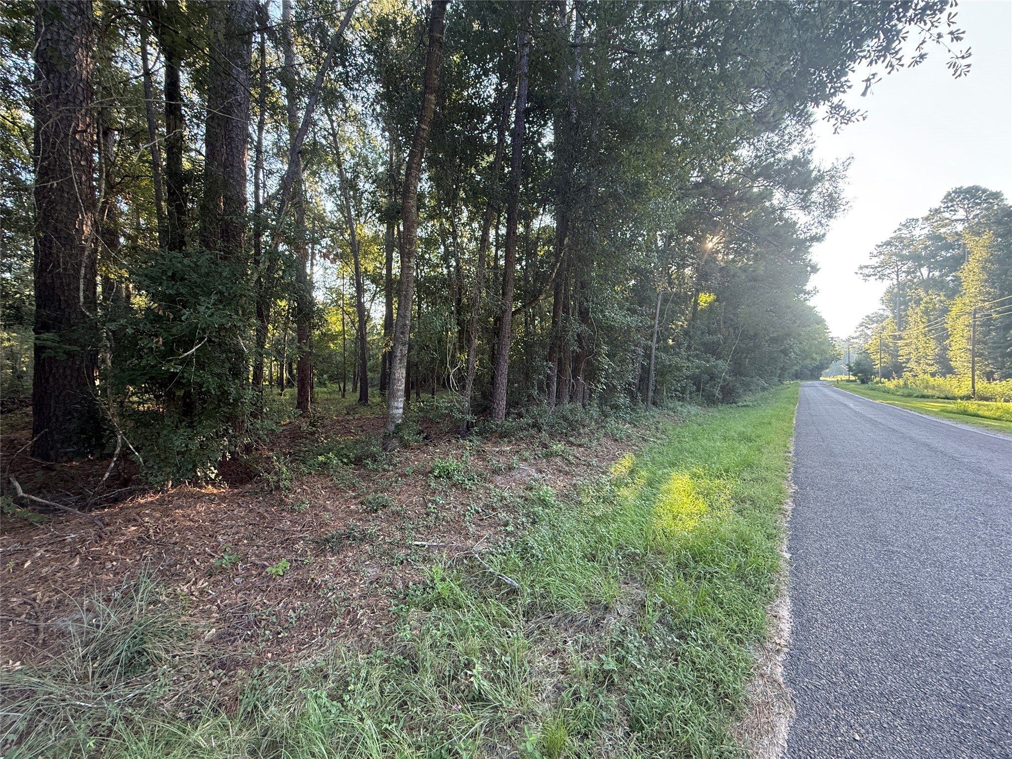Tbd Charlie Pride Drive Property Photo 4