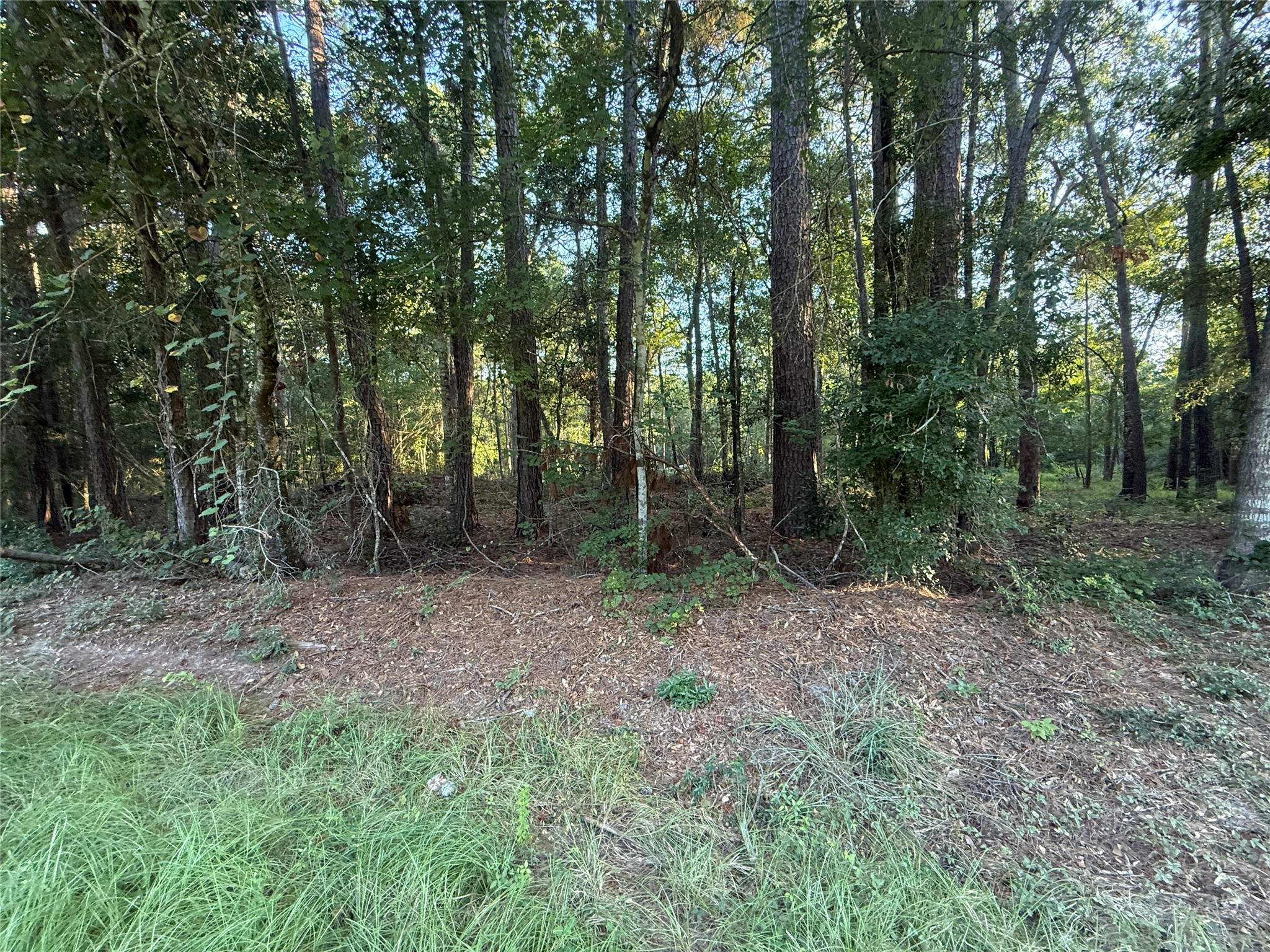 Tbd Charlie Pride Drive Property Photo 5