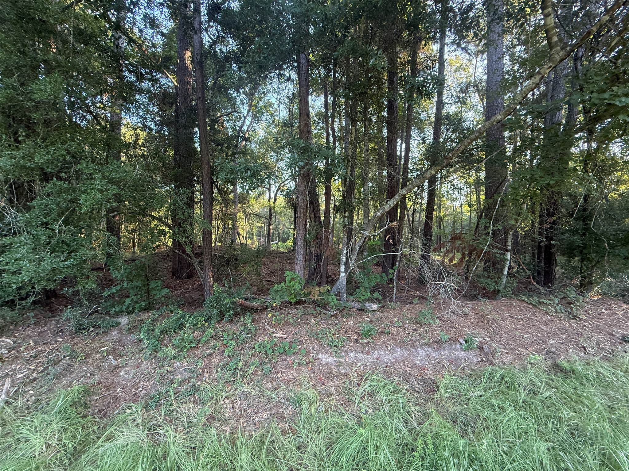 Tbd Charlie Pride Drive Property Photo 6