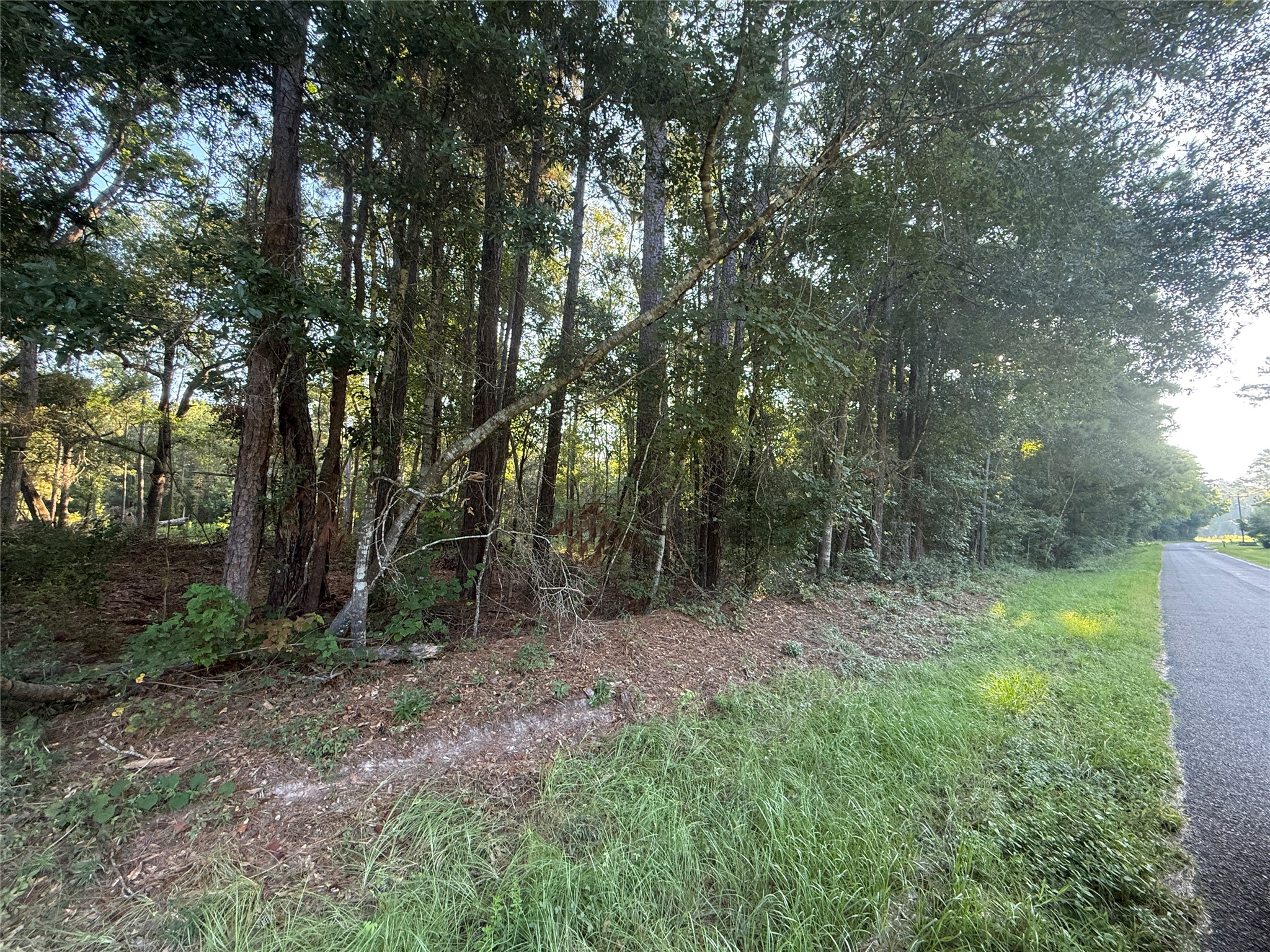 Tbd Charlie Pride Drive Property Photo 7