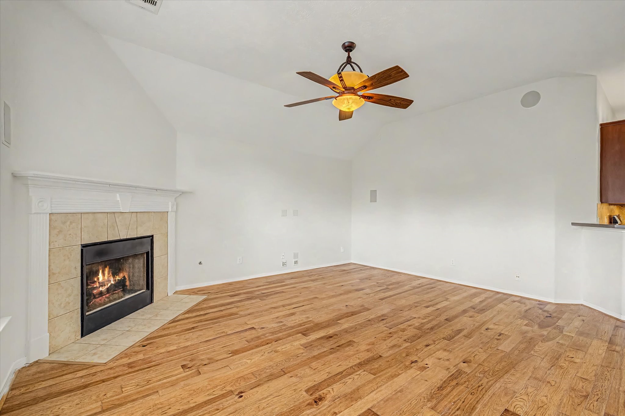 14022 Wild Dove Court Property Photo 20